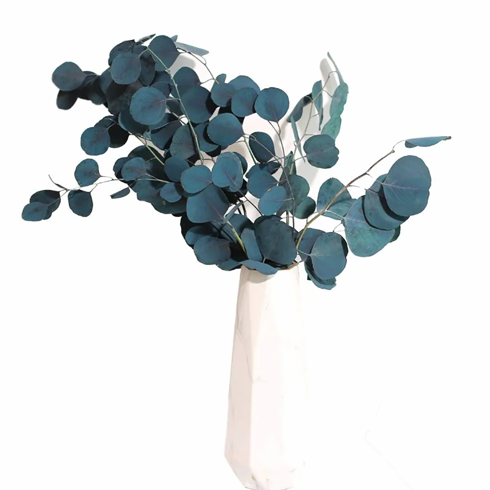 Fleurs Séchées Bleues, Eucalyptus, 40 * 20 * 5, Intérieur, Occasions Spéciales
