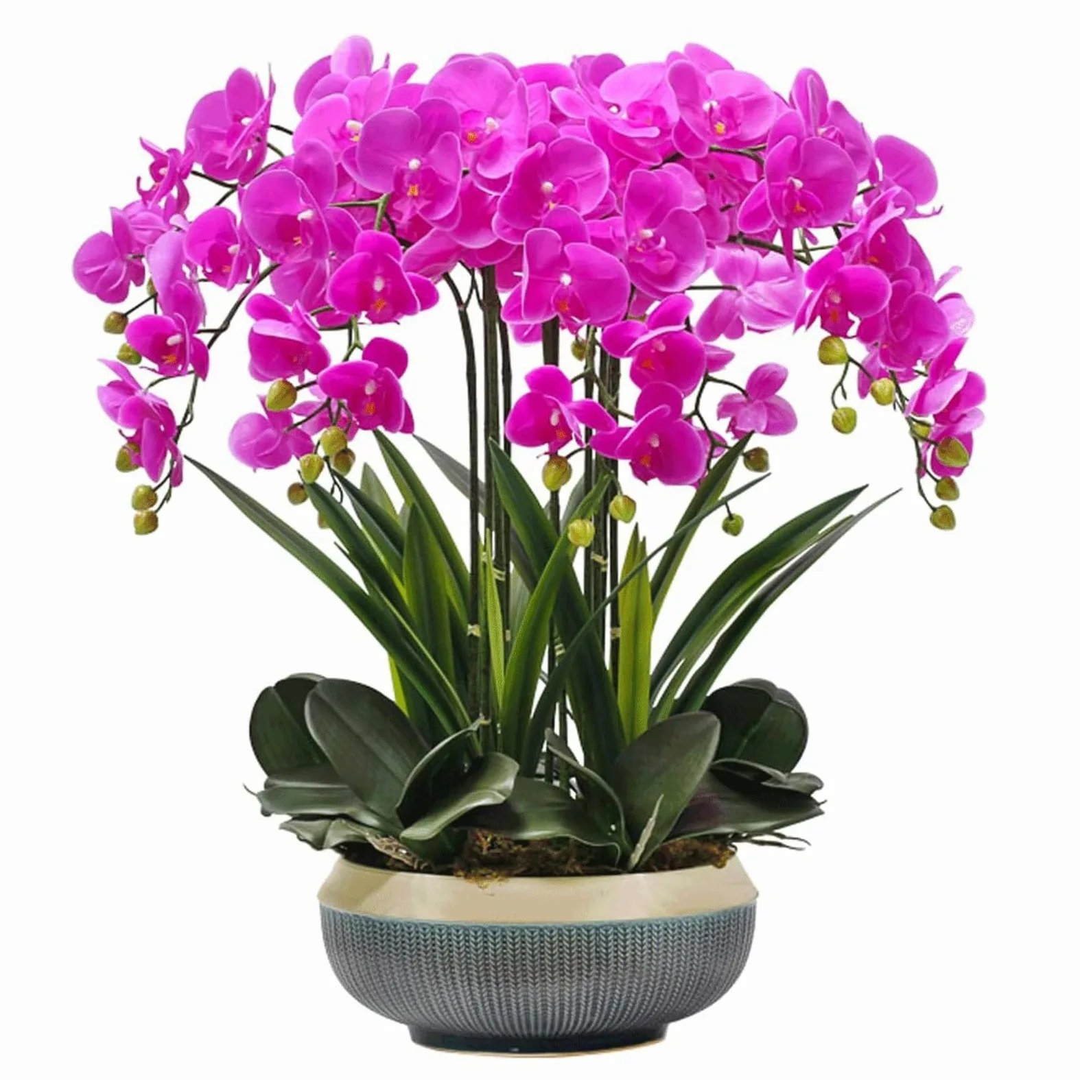 Orchidées artificielles avec Vase en céramique, Fleurs artificielles en polyuréthane, phalaenopsis artificielles, 65 cm, Fausses Fleurs pour la Maison