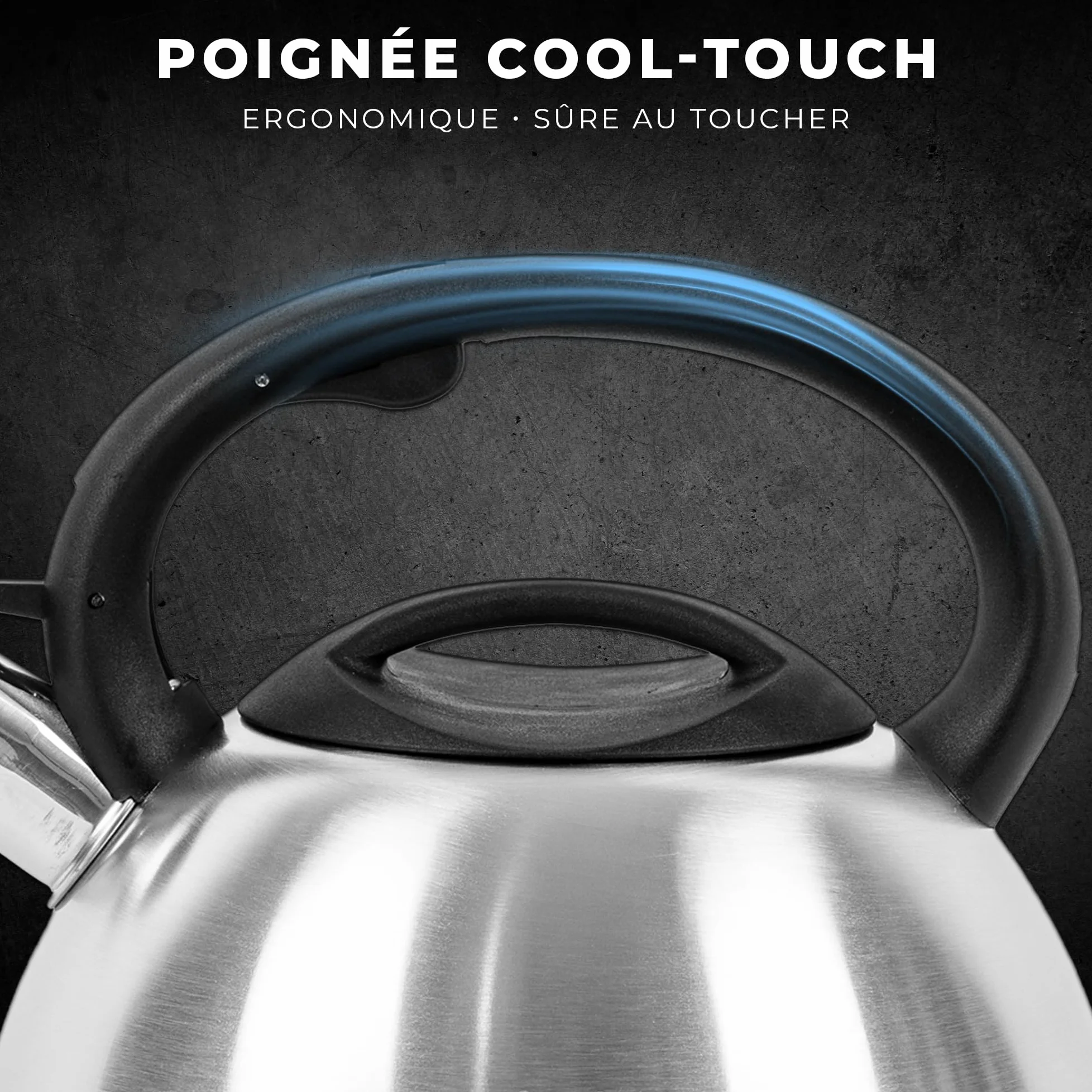 KARL HAUSMANN Bouilloire Induction 3L Inox avec Sifflante - Theiere Cuisine pour Plaque Gaz, Vitrocéramique et Électrique - Grande Capacité Eau Chaude avec Couvercle Amovible