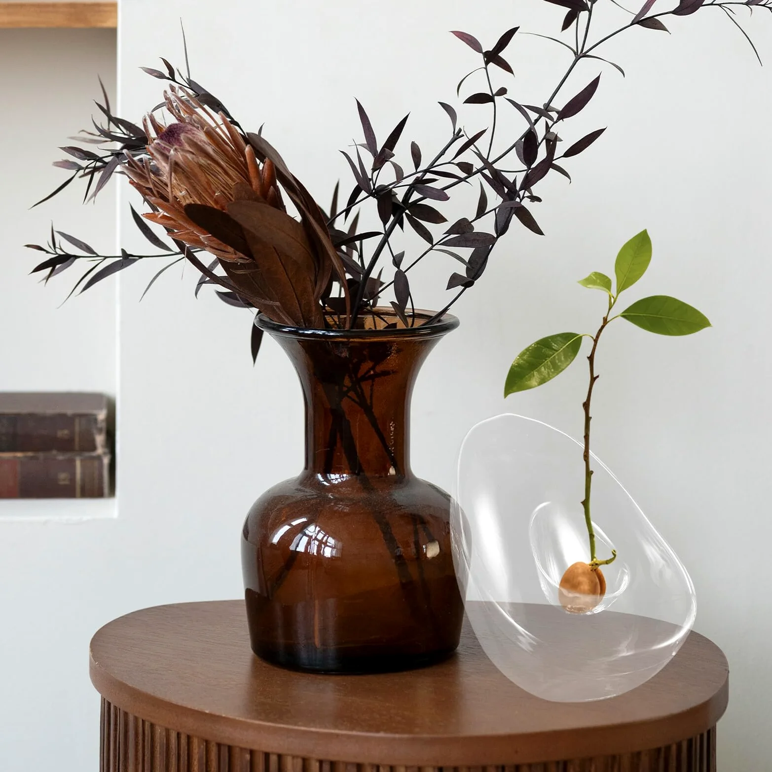 VICASKY Vase Hydroponique en Verre D’Avocat, Pot de Culture à Large Ouverture pour Bulbe D’Avocat, Support Transparent pour Propagation de Plantes D’intérieur, Décoration Maison et Bureau