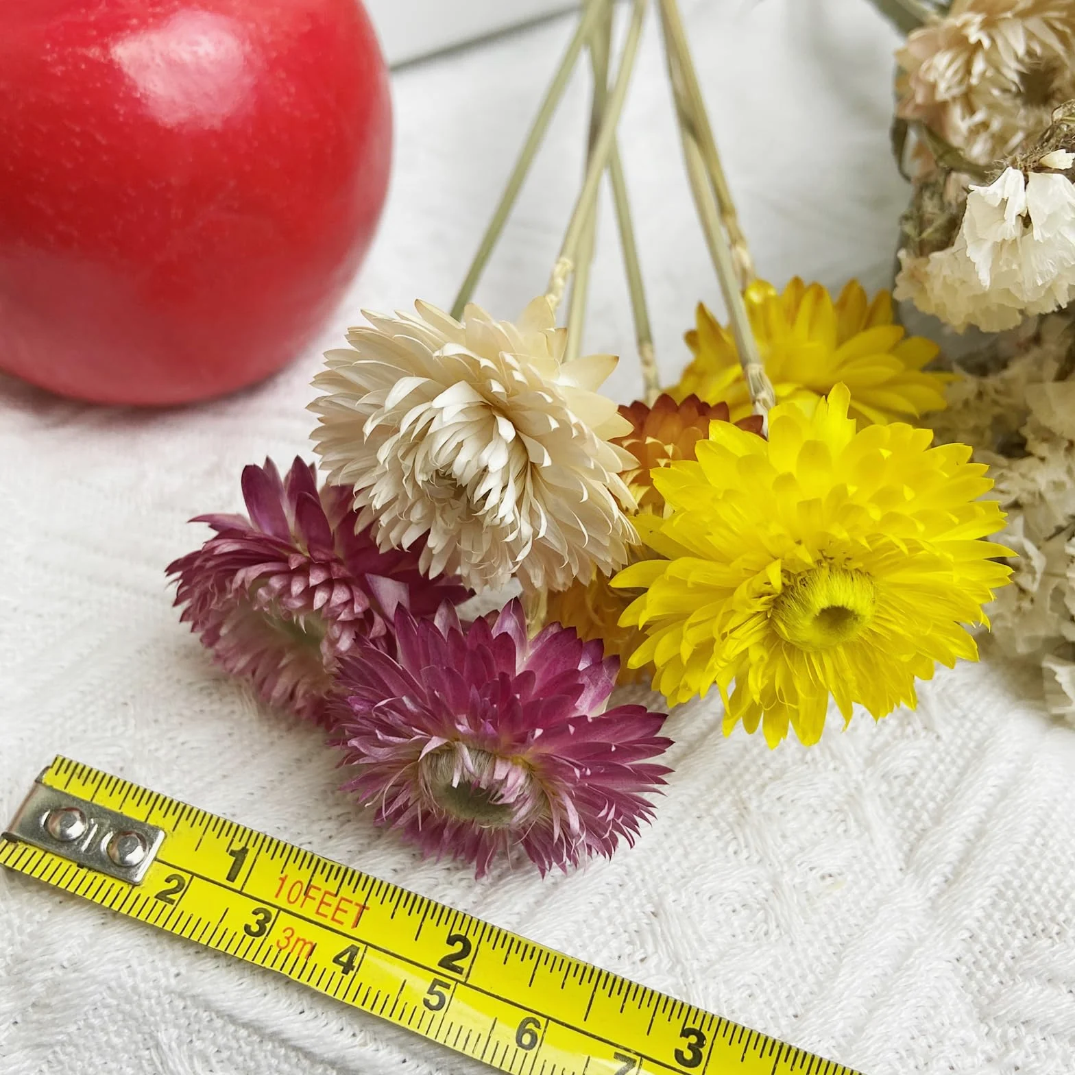 L'BREVOGA Bouquets de fleurs séchées, 16 pièces 100 % naturelles marguerites fraises pour décoration de fête à la maison – Rose et blanc
