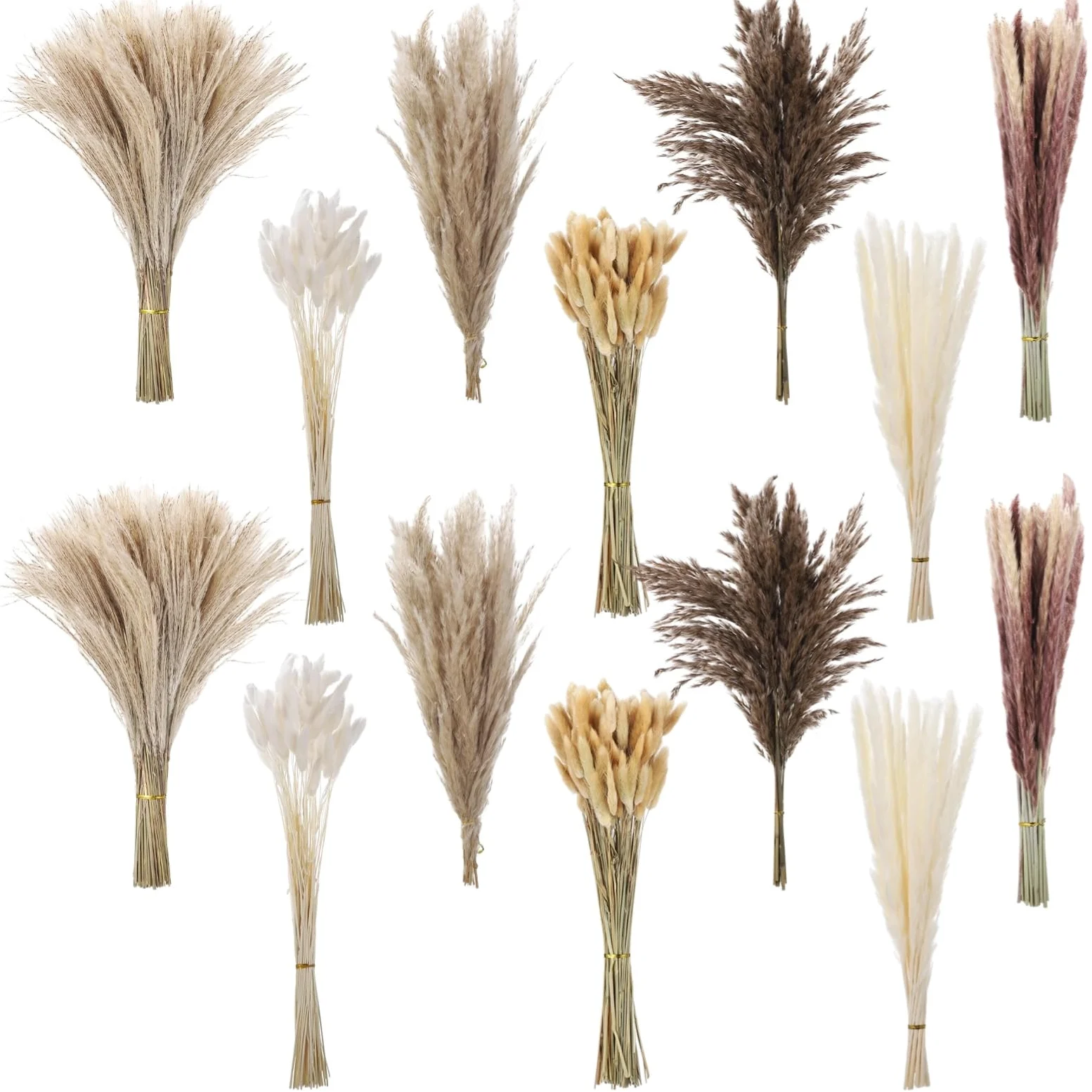 Lot de 300 herbes de la pampa séchées, eucalyptus et queue de lapin, décoration bohème de mariage et de salon