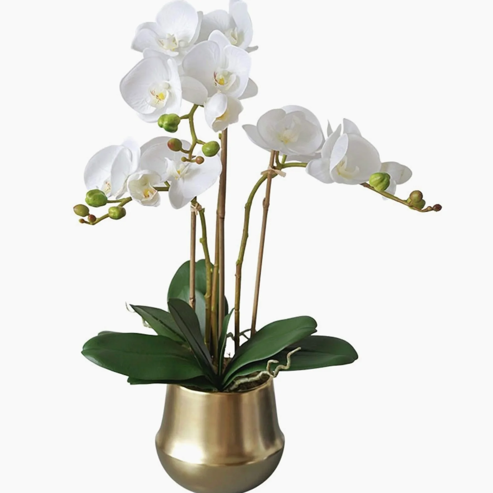 Orchidée Artificielle Bonsaï avec Vase doré Fausses Plantes Phalaenopsis Orchidées Arrangements Floraux Exquis Faux Fleurs Décor Maison et Bureau Fleurs artificielles