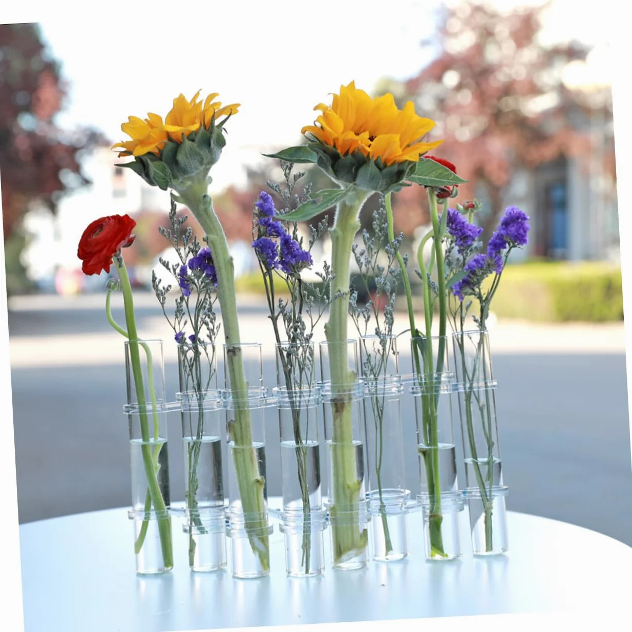 ABOOFAN Propagation Tubes Verre pour Plantes Intérieur Vase de Culture Hydroponique avec Support Lot de Grands Tubes avec Brosse Décor de Bureau et Maison Polyvalent
