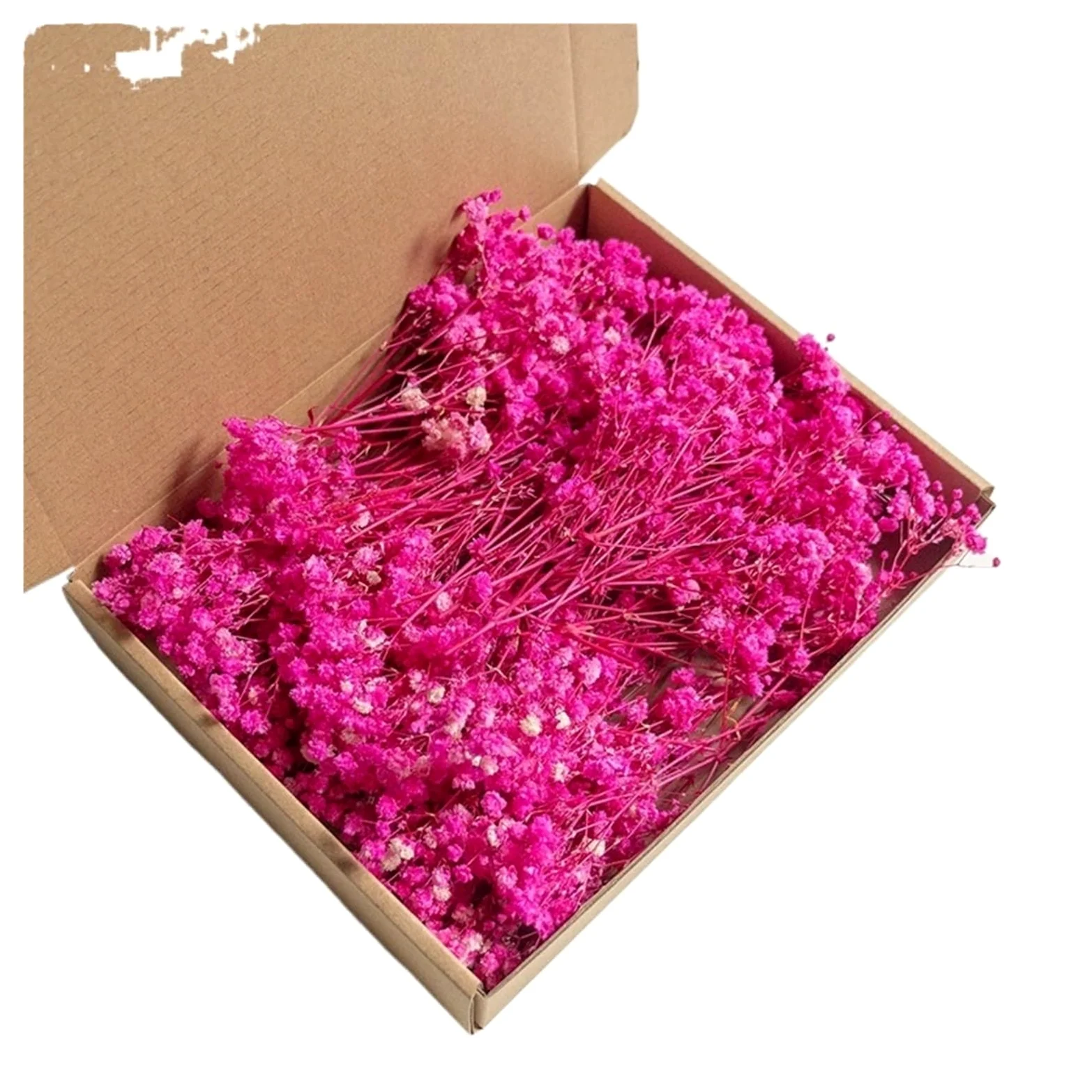 gypsophile séché Mini Fleurs séchées de Souffle bébé, 100 pièces, Naturelles sèches Gypsophila, Bricolage aromathérapie, Accessoire Photo for fête Mariage, Saint-Valentin(Color5)