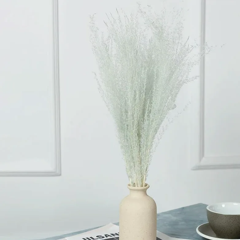 Véritable petite herbe séchée bouquet de mariage plantes naturelles décoration d'intérieur fleurs artificielles séchées Phragmites fleur ornementale