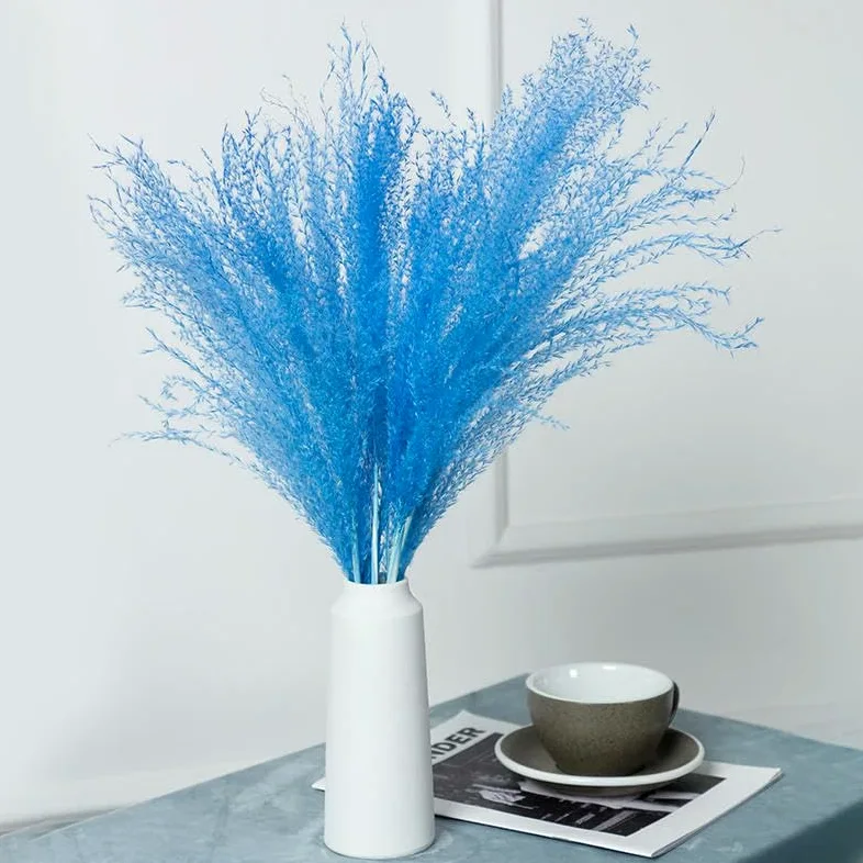 Véritable petite herbe séchée bouquet de mariage plantes naturelles décoration d'intérieur fleurs artificielles séchées Phragmites fleur ornementale