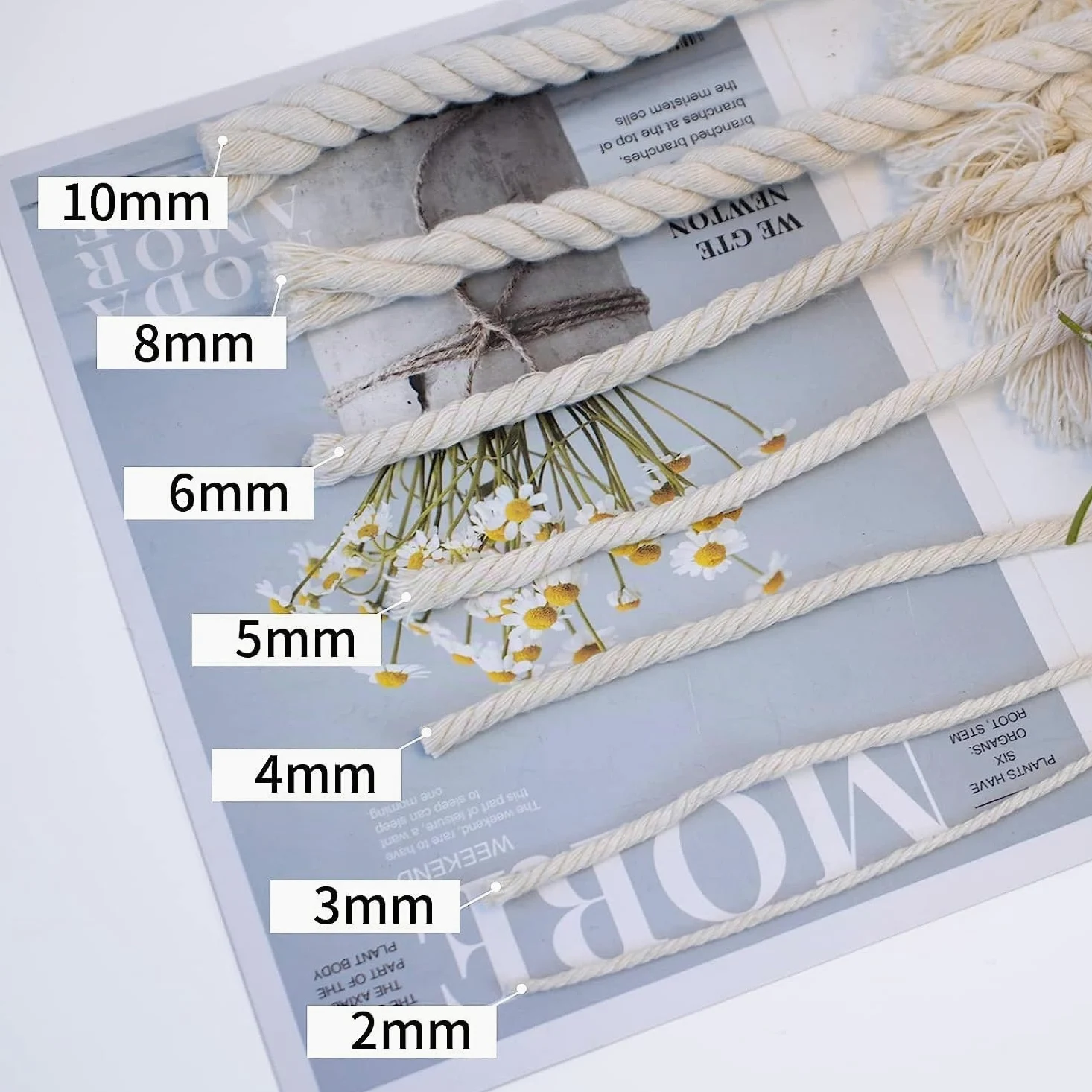 4 mm x 500 m Beige Cordon en Coton macramé Doux, 4 brins torsadés 100% Coton Naturel pour accrochage Mural, Bricolage, Artisanat, Tricot, accroche-Plantes, projets de décoration