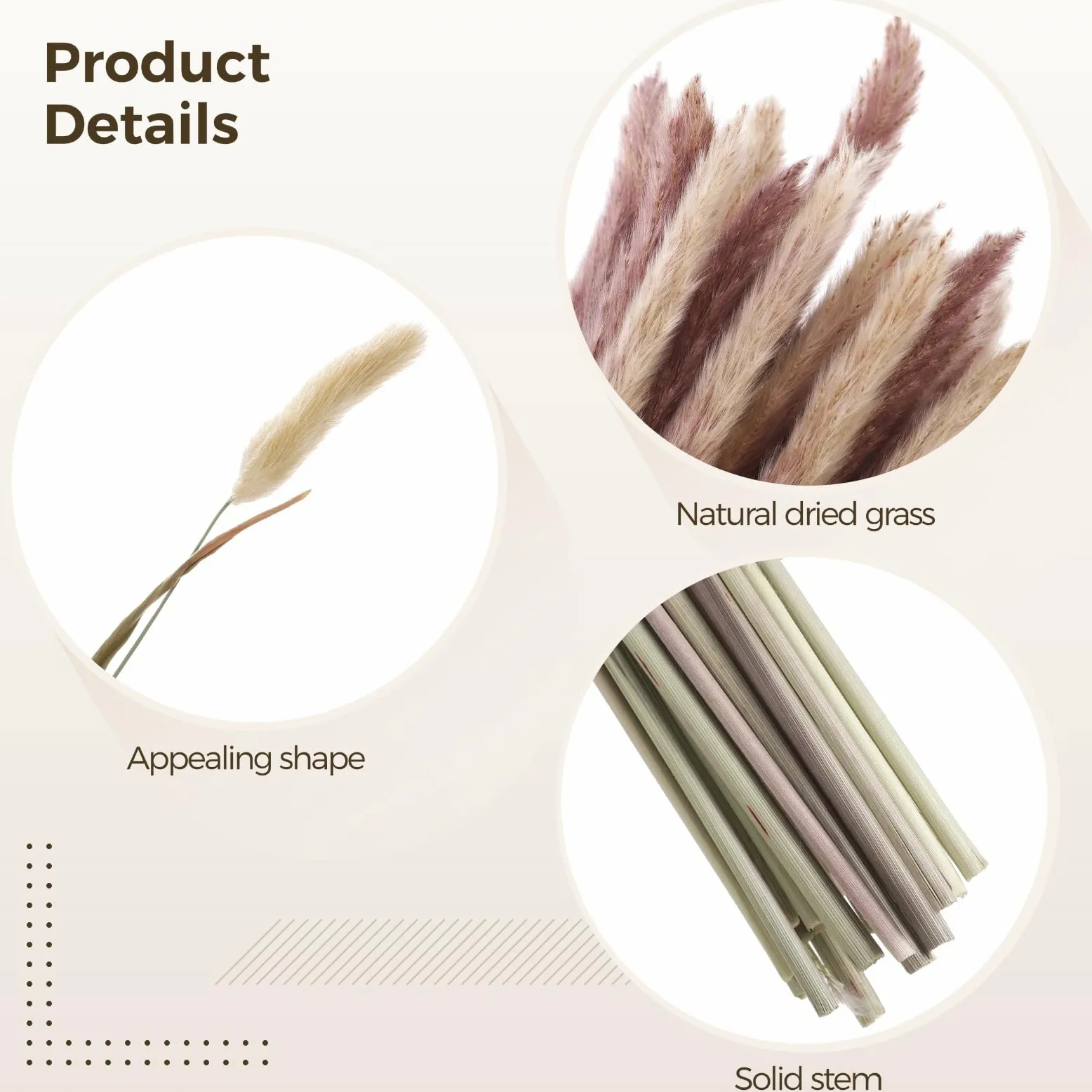 Lot de 300 herbes de la pampa séchées, eucalyptus et queue de lapin, décoration bohème de mariage et de salon