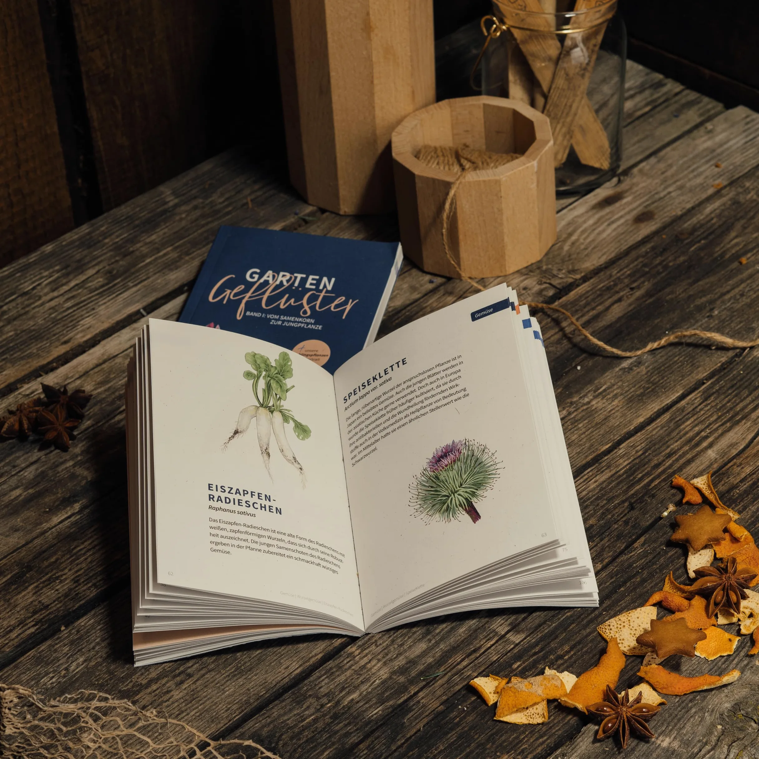 Magic Garden Seeds Calendrier de l’Avent bio L’ivresse des fleurs sauvages | 24 sachets de graines de fleurs bio reproductibles • Fleurs sauvages, annuelles et vivaces • Poster et calendrier de semis