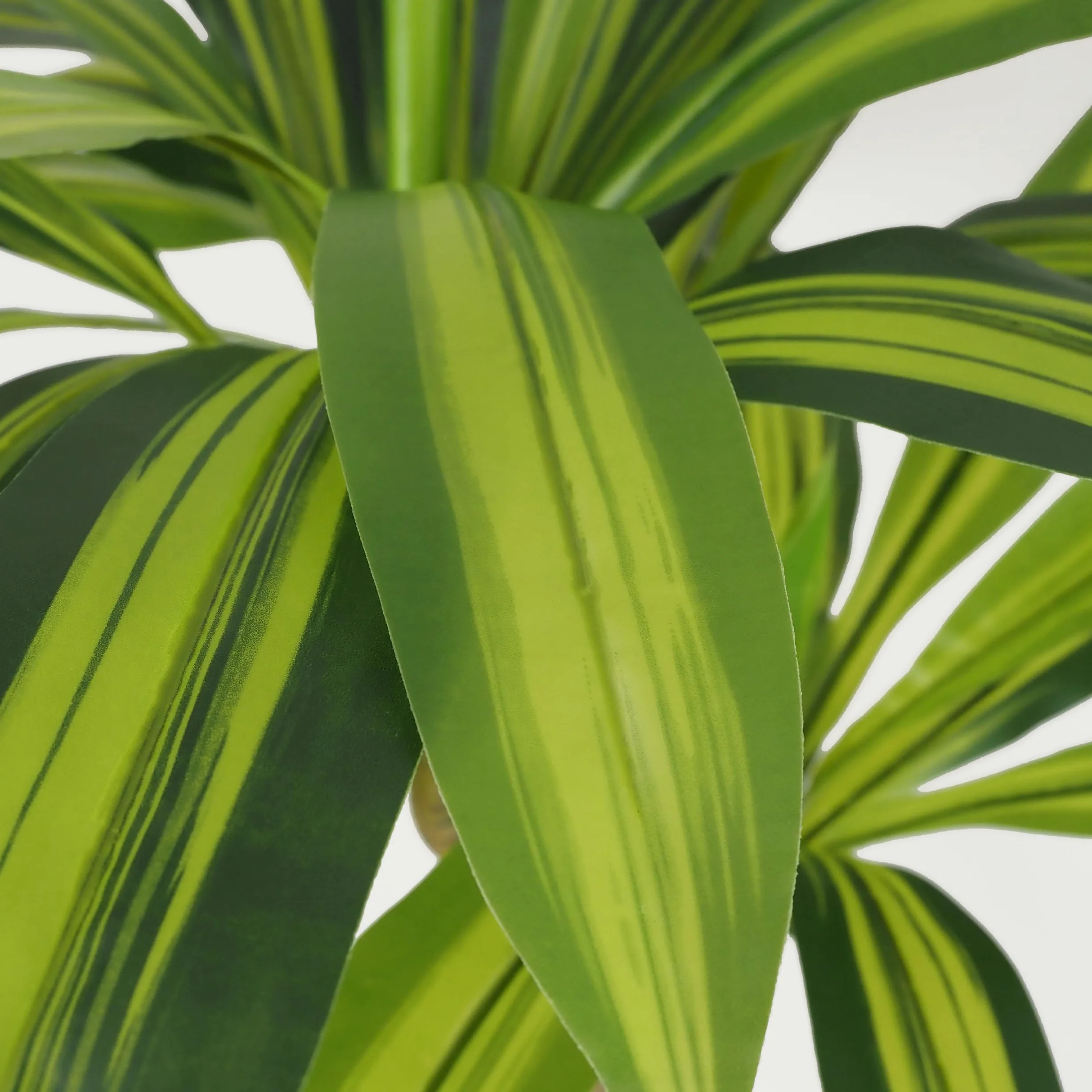 LIGNE DÉCO - Dracena Artificiel - Décoratif - Élégant - Tendance Déco - Durable - Entretien Facile - Plante Artificielle Intérieur - Plastique - 80cm