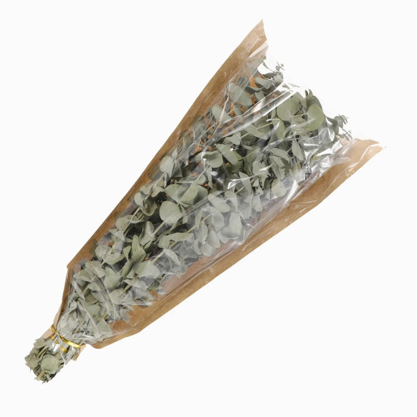 Alipis 2 Pièces 1 Bouquet de Bouquet de Lavande séchée Feuilles pour la bouda Decoration Interieure décoration intérieure Eucalyptus séché décor Floral