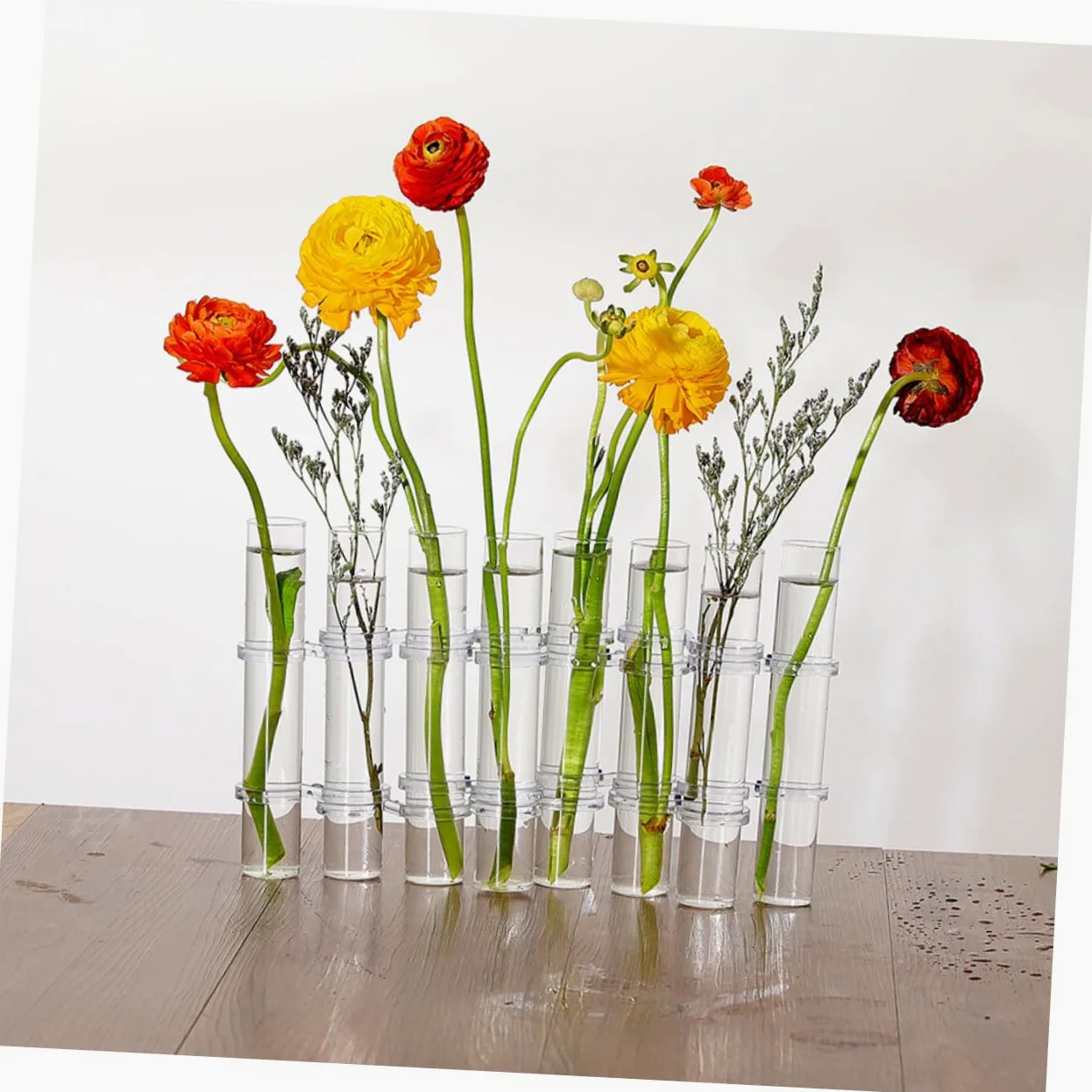 ABOOFAN Propagation Tubes Verre pour Plantes Intérieur Vase de Culture Hydroponique avec Support Lot de Grands Tubes avec Brosse Décor de Bureau et Maison Polyvalent