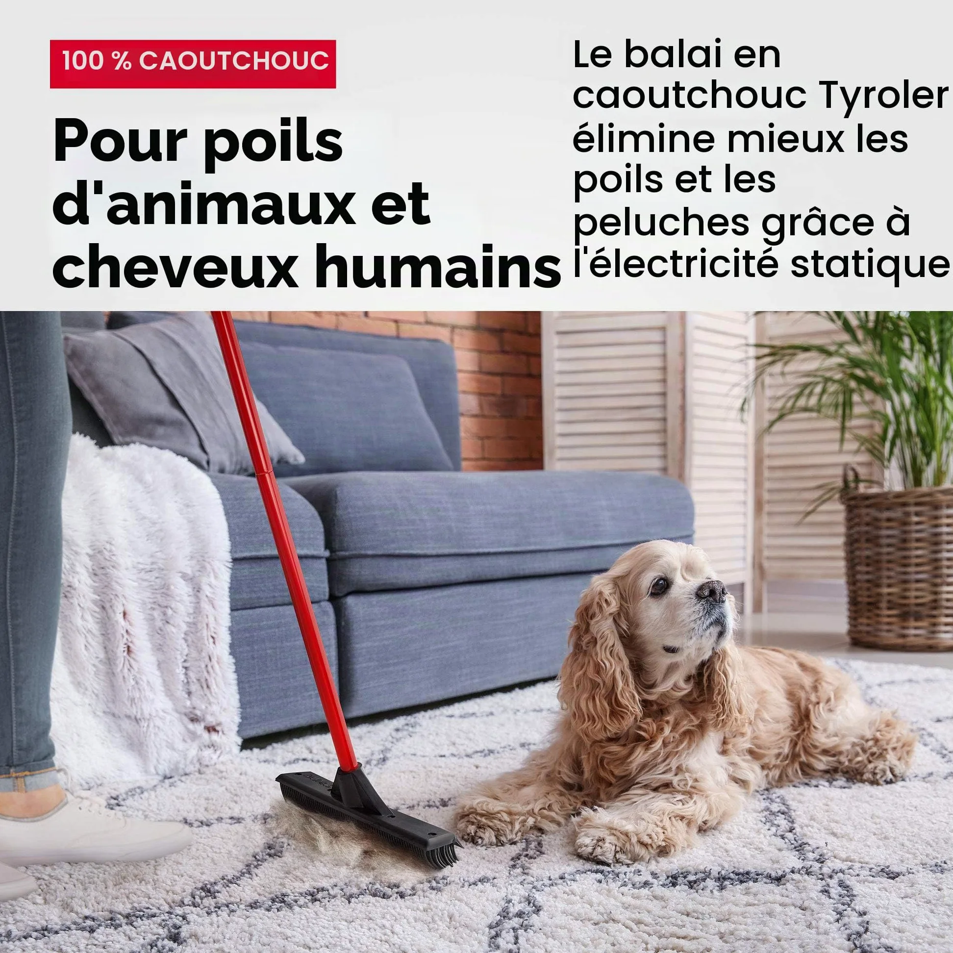 Tyroler Balai Caoutchouc & Raclette Sol | Tête De 33 cm Balai Bross Poils Animaux | Manche Anti-Rouille en 4 Parties de 140 cm pour Balais Coiffeur Caoutchouc Professionnel | Balais Nettoyer Sol