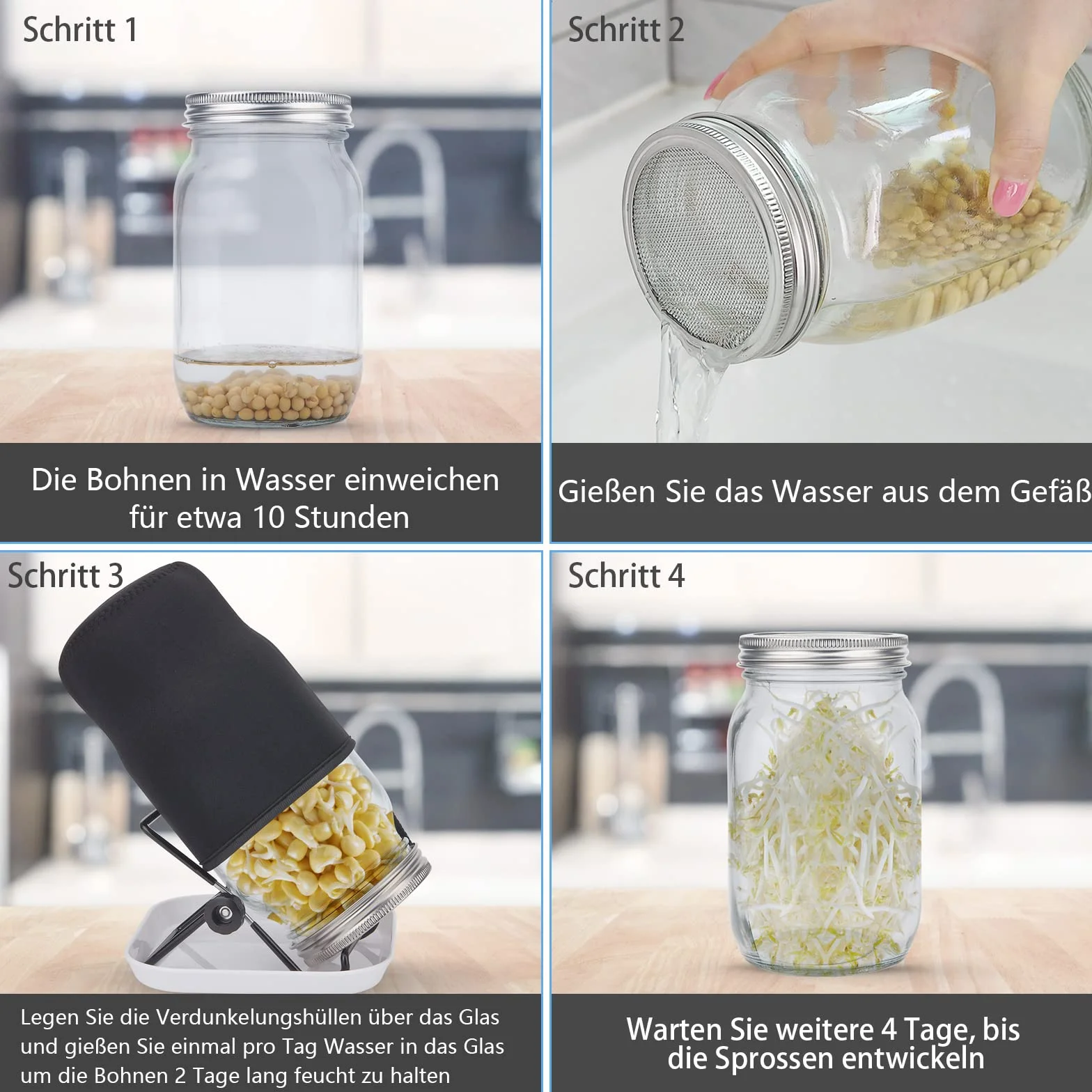 Lot de 4 verres à germer