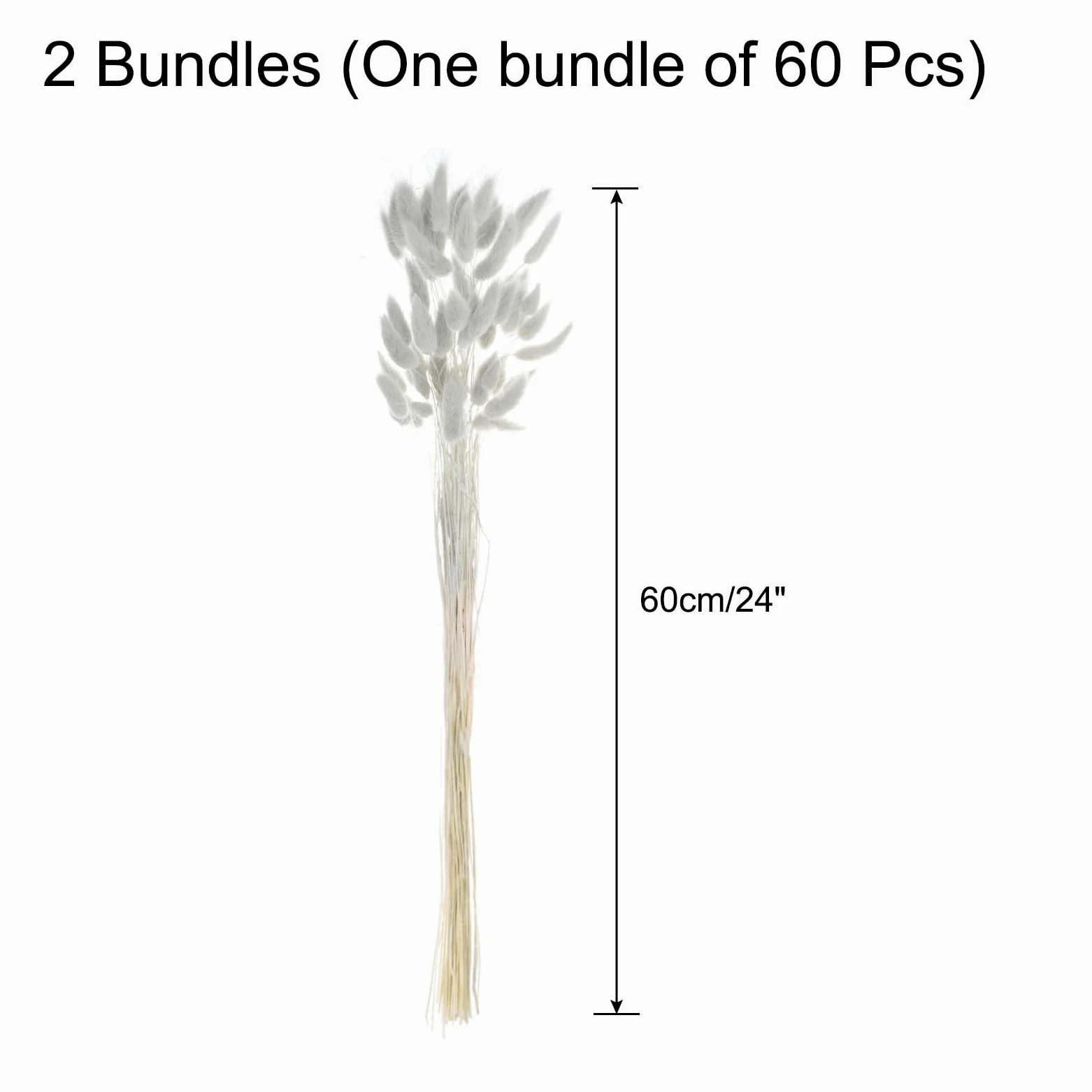 QUARKZMAN 120Pcs Queue de Lapin Naturelle Fleurs Séchées 60cm Gris | Mini Herbe de Pampa Lagurus Ovatus, Bouquet pour Décoration Florale Mariage Noël