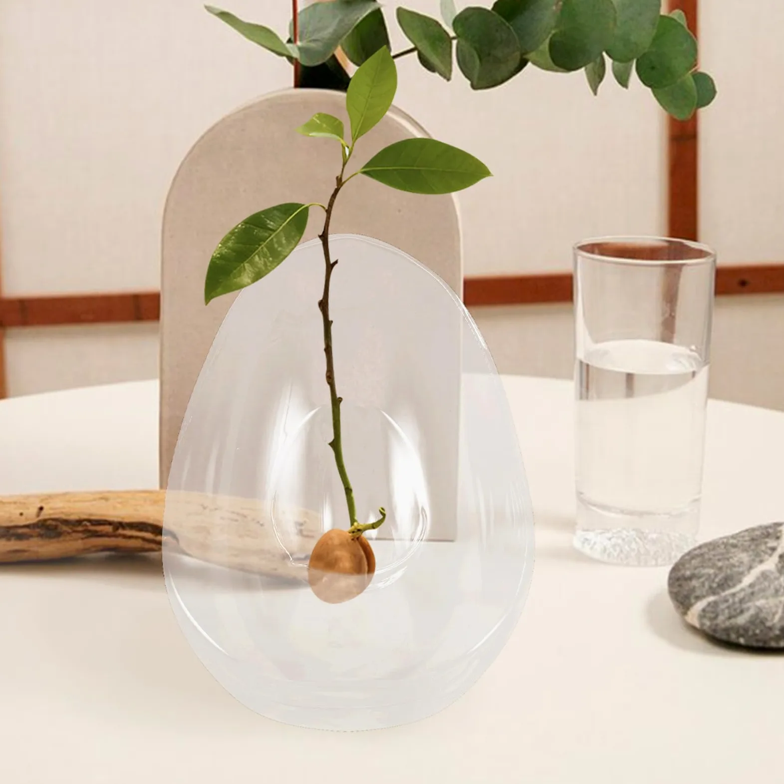 VICASKY Vase Hydroponique en Verre D’Avocat, Pot de Culture à Large Ouverture pour Bulbe D’Avocat, Support Transparent pour Propagation de Plantes D’intérieur, Décoration Maison et Bureau