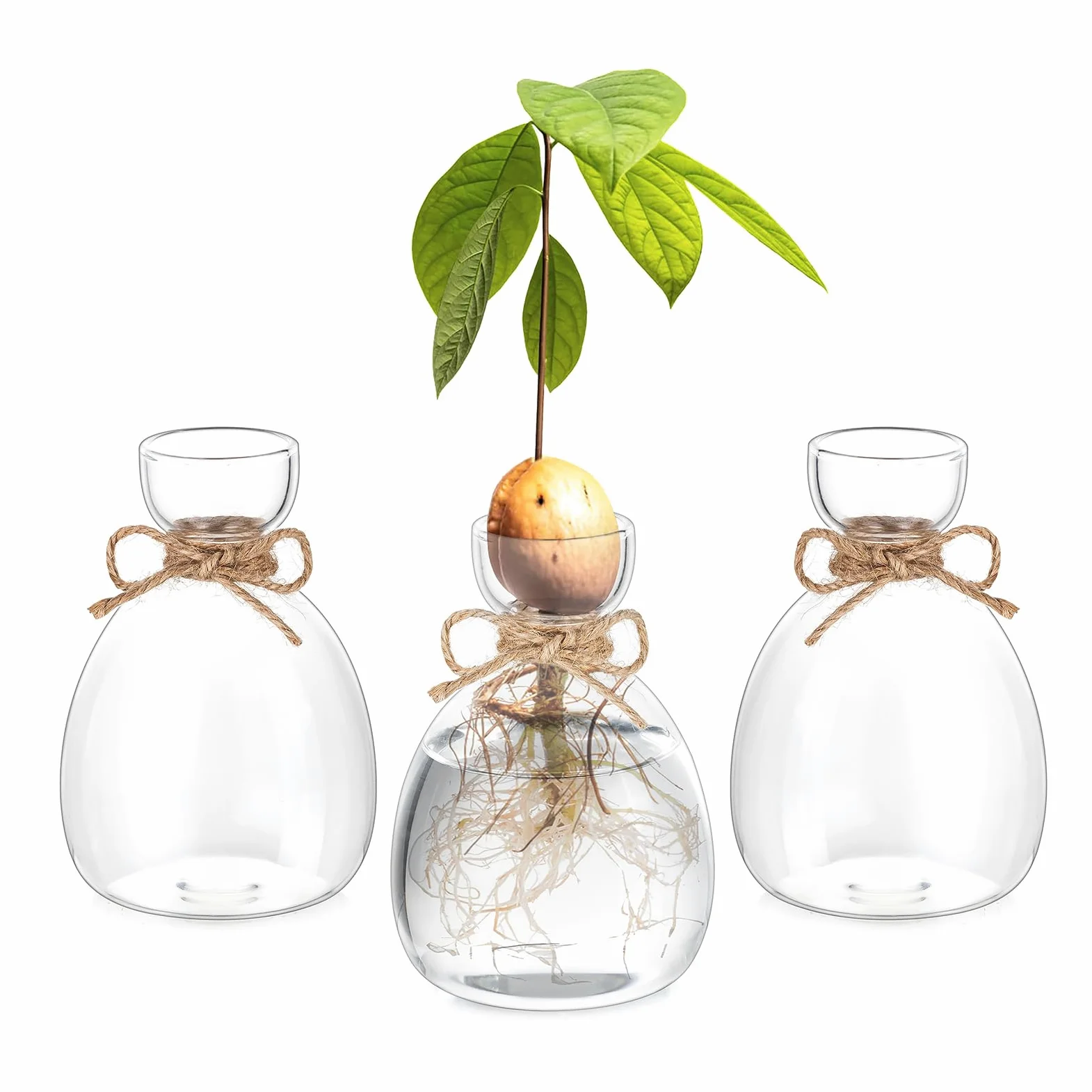 Hewory Lot de 3 vases à avocat en verre : lot de 3 vases en forme de gland - Kit de culture de graines d'avocat - Cadeaux de propagation pour les amateurs de plantes