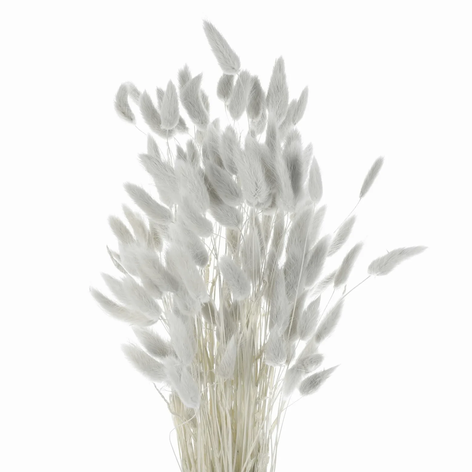 QUARKZMAN 120Pcs Queue de Lapin Naturelle Fleurs Séchées 60cm Gris | Mini Herbe de Pampa Lagurus Ovatus, Bouquet pour Décoration Florale Mariage Noël