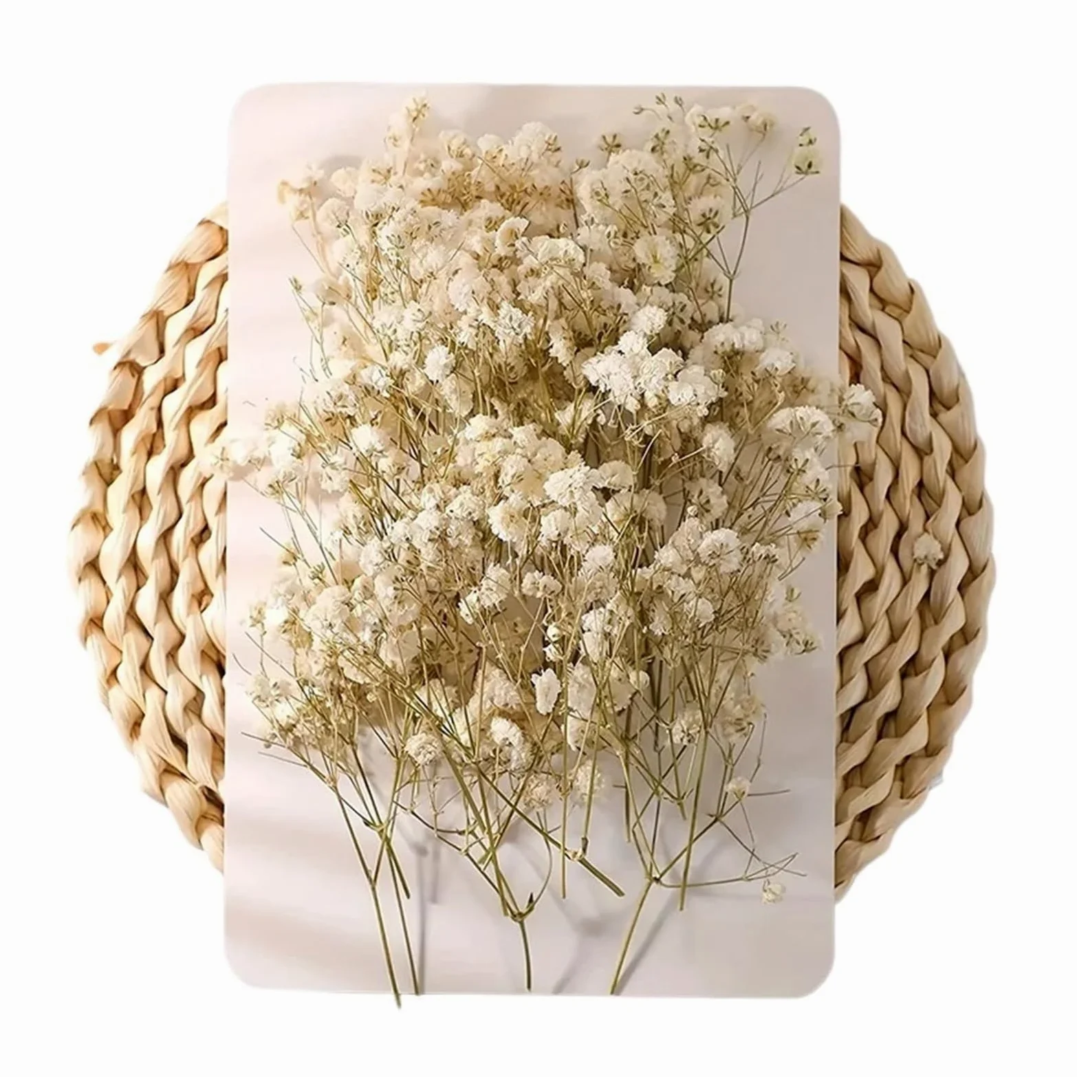 gypsophile séché Mini Fleurs séchées de Souffle bébé, 100 pièces, Naturelles sèches Gypsophila, Bricolage aromathérapie, Accessoire Photo for fête Mariage, Saint-Valentin(Color5)