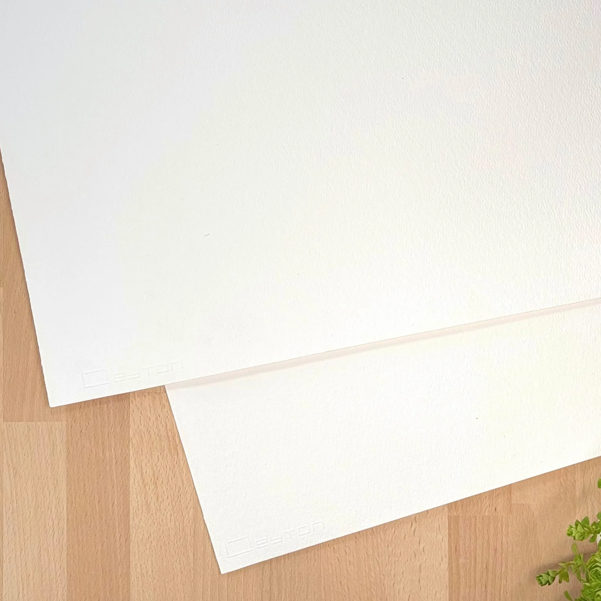 Leyton 3 Grandes Feuilles Papier d'Aquarelle 100% coton, 300g, grain fin, pressé à froid, Lot de 3 Feuilles, 54.6cm x 78.7cm, qualité artiste