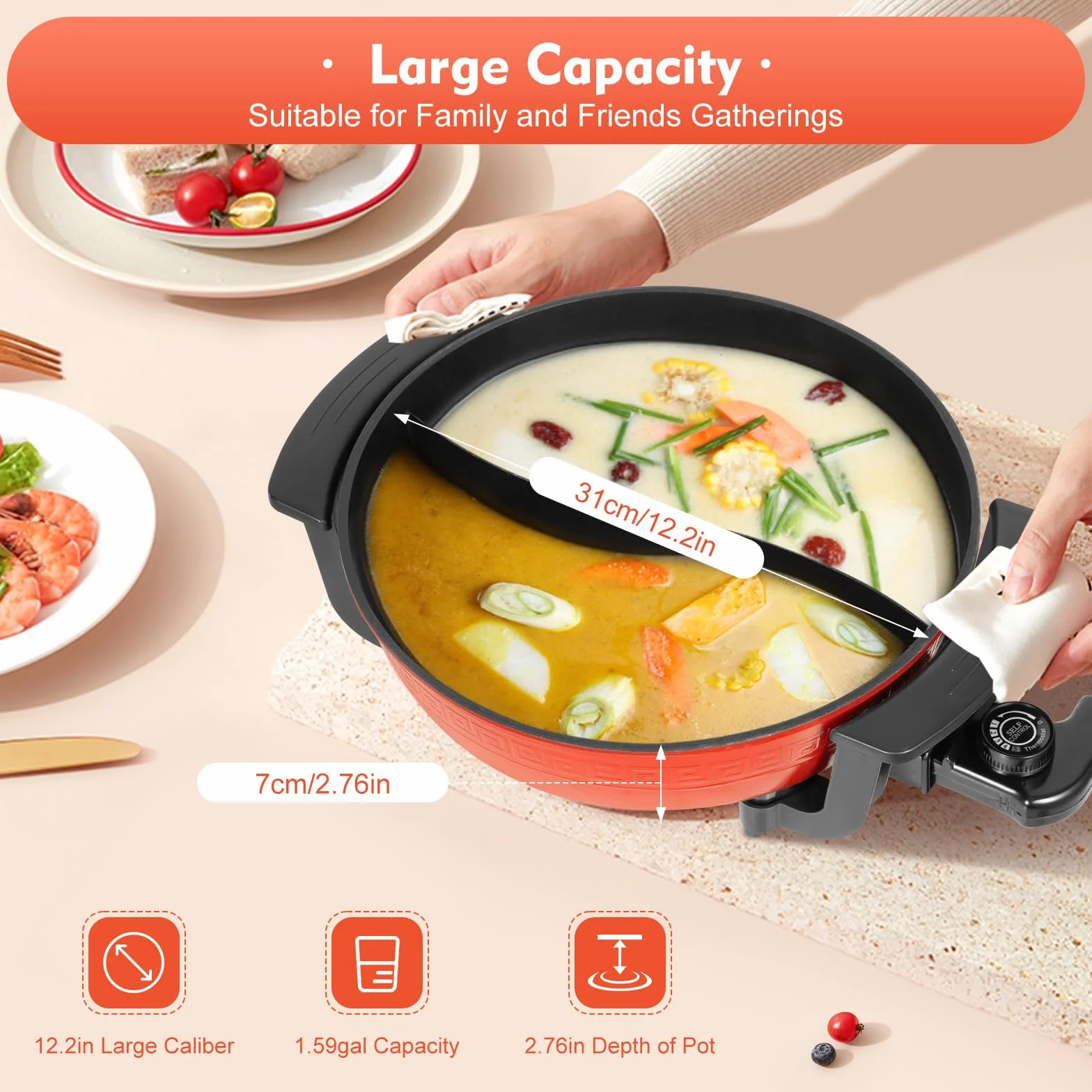 Hot Pot électrique à fondue 6 l Double face séparable – 1360 W, 5 niveaux de réglage de la température, fond à induction antiadhésif, pour hotpot, fondues, rôtis et braiseurs, 3 à 4 personnes (220 V)