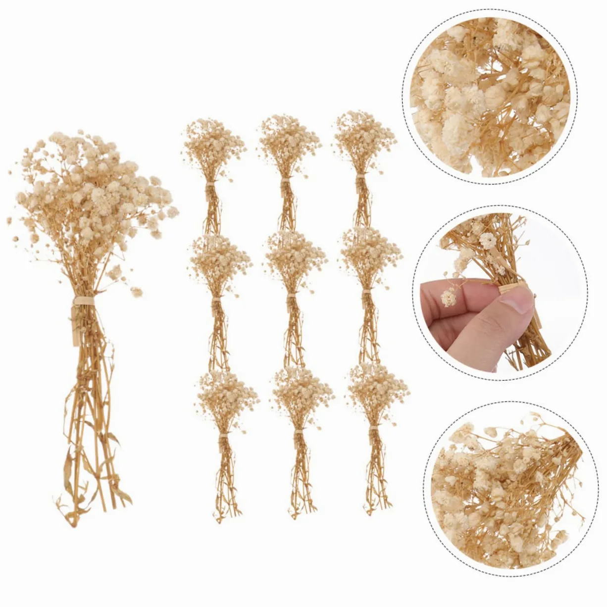 PRETYZOOM 2pièces Bouquets De Fleurs Séchées De Gypsophile De Décorations Naturelles pour Arrangements Floraux pour Décoration De Table Et Intérieur Bouquets De Mariage Et Bricolage