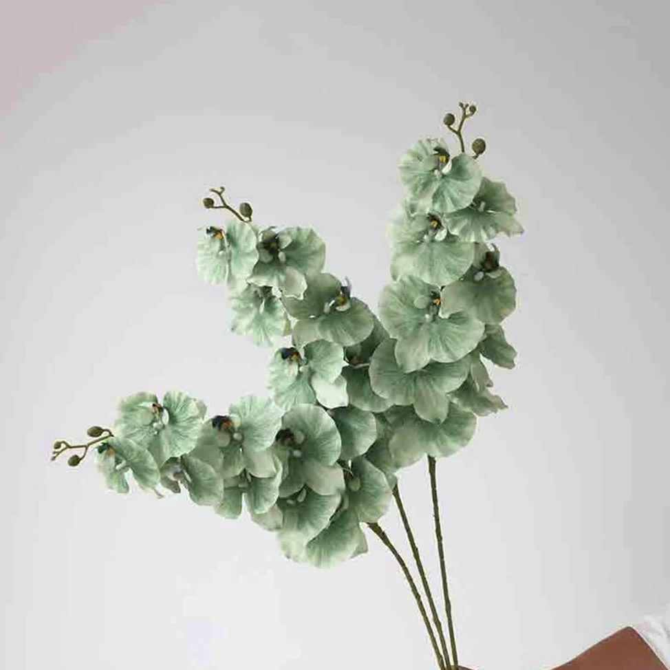 Fleurs artificielles Phalaenopsis Vert Simple, Fausses Fleurs artificielles, Arrangement de Salon, décoratives avec Vase en Verre