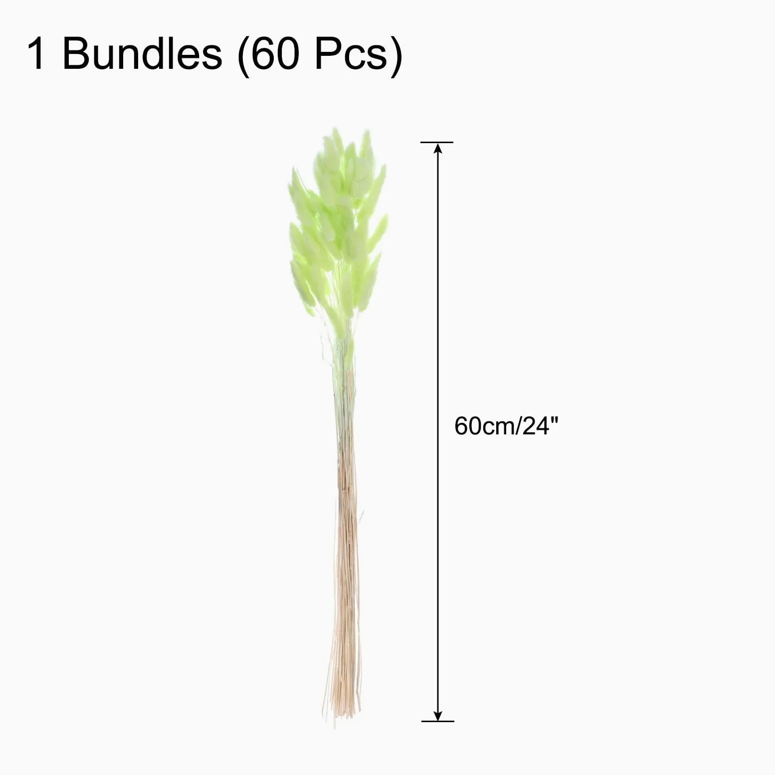 QUARKZMAN 60Pcs Queue de Lapin Naturelle Fleurs Séchées 60cm Vert Émeraude | Mini Herbe de Pampa Lagurus Ovatus, Bouquet pour Décoration Florale Mariage Noël