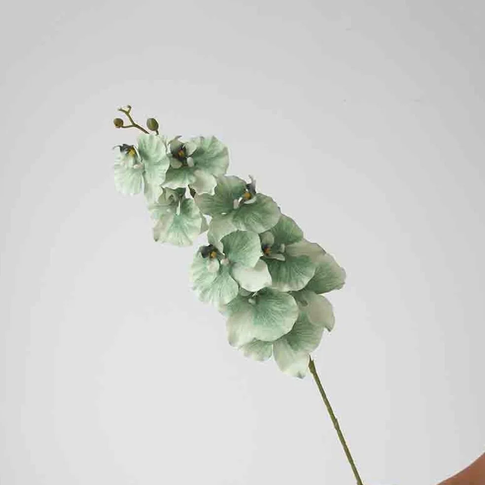Fleurs artificielles Phalaenopsis Vert Simple, Fausses Fleurs artificielles, Arrangement de Salon, décoratives avec Vase en Verre