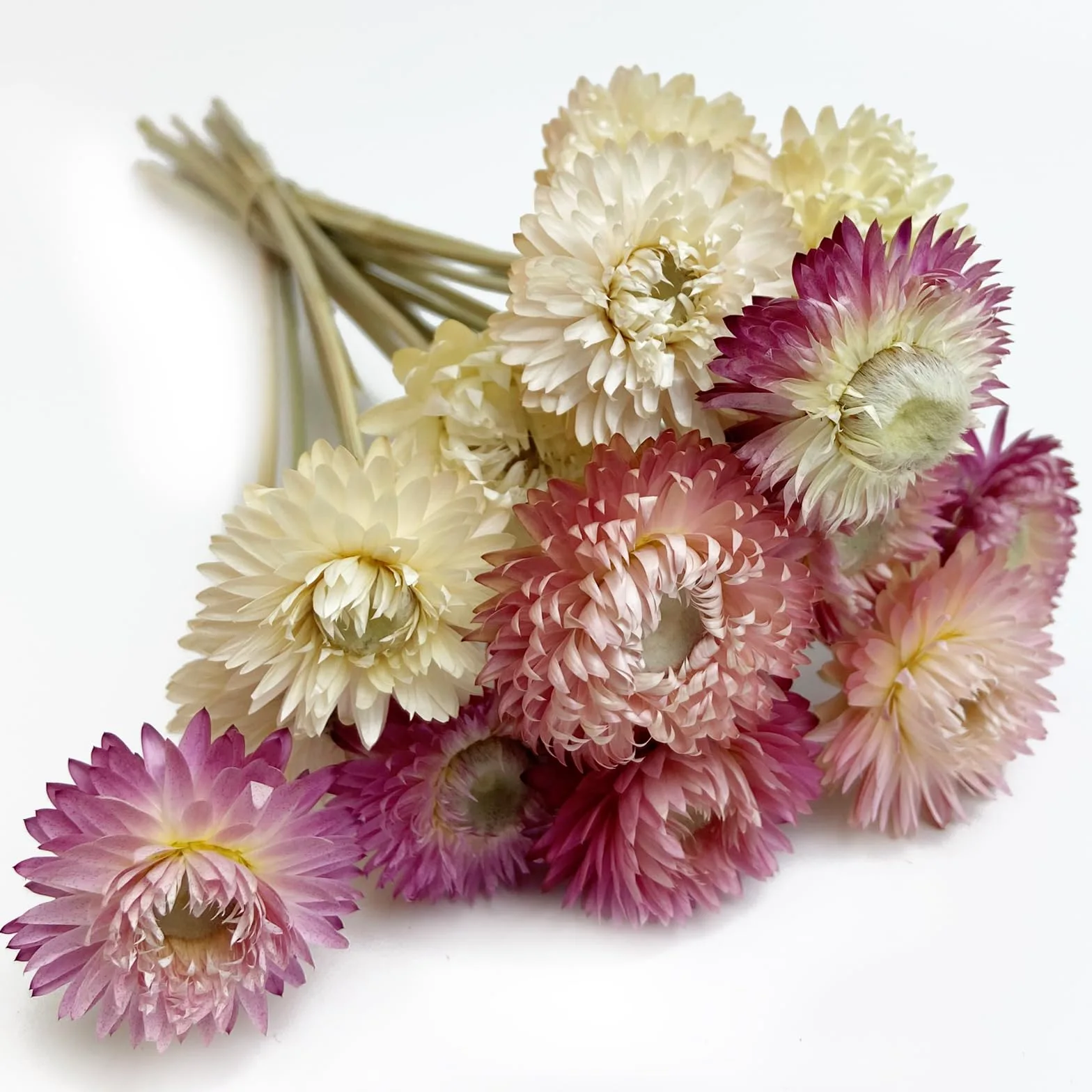 L'BREVOGA Bouquets de fleurs séchées, 16 pièces 100 % naturelles marguerites fraises pour décoration de fête à la maison – Rose et blanc