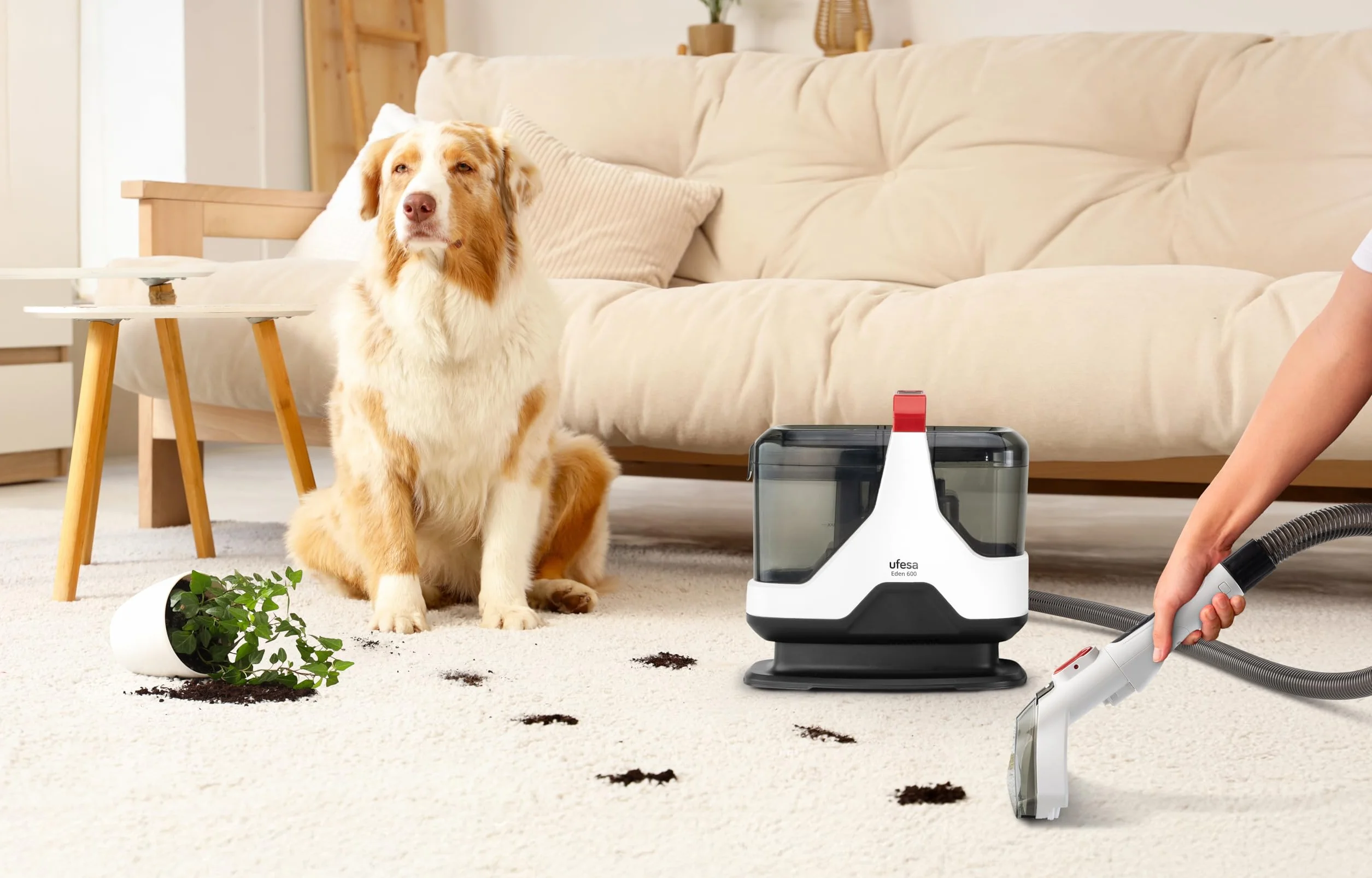 Ufesa Eden 600, Aspirateur à Eau pour Tissus d’ameublement, canapés, Voiture, Tapis et moquettes, Accessoire Nettoyeur de vitres, 600 W, aspirateur à Eau 15.000 KPa