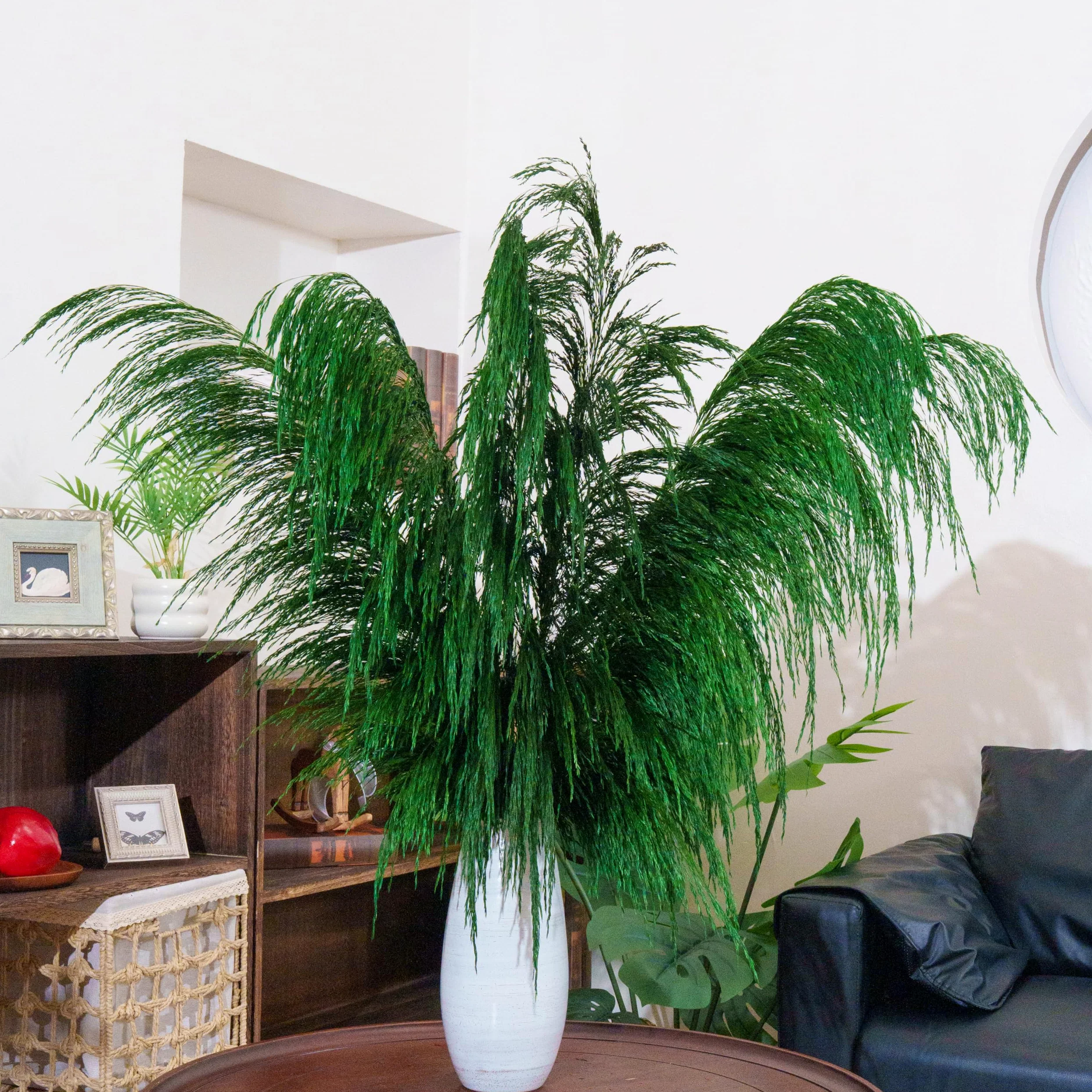 Lot de 8 Herbes de Pampa Vertes Séchées - 80 cm - Décoration Naturelle Salon - Plantes Séchées Parfumées - Style Bohème Chic - Intérieur Maison - Décoration Murale Élégante