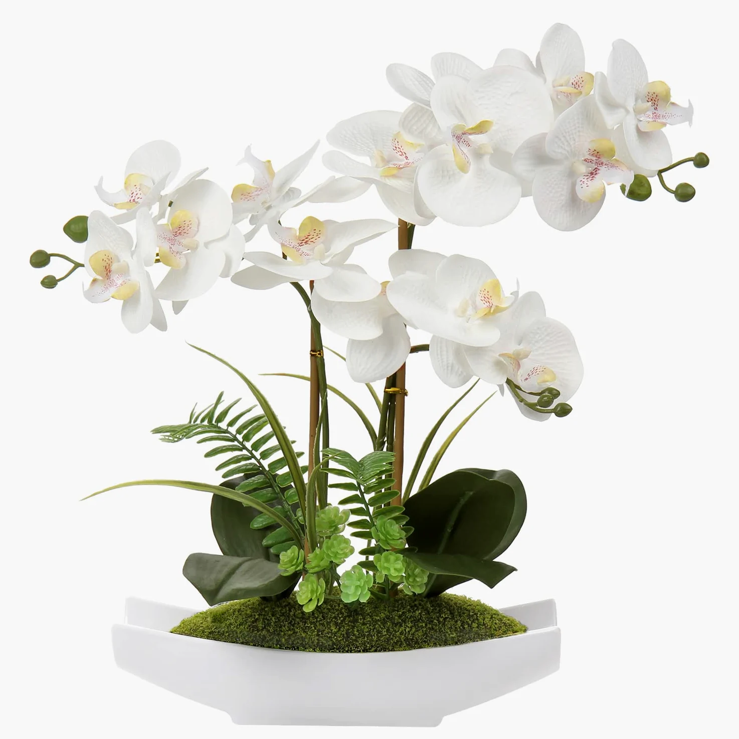 Briful Arrangement d’orchidées phalaenopsis artificielles en Plastique Soyeux dans Un Pot en céramique Blanc pour Maison, Bureau, décoration de Mariage