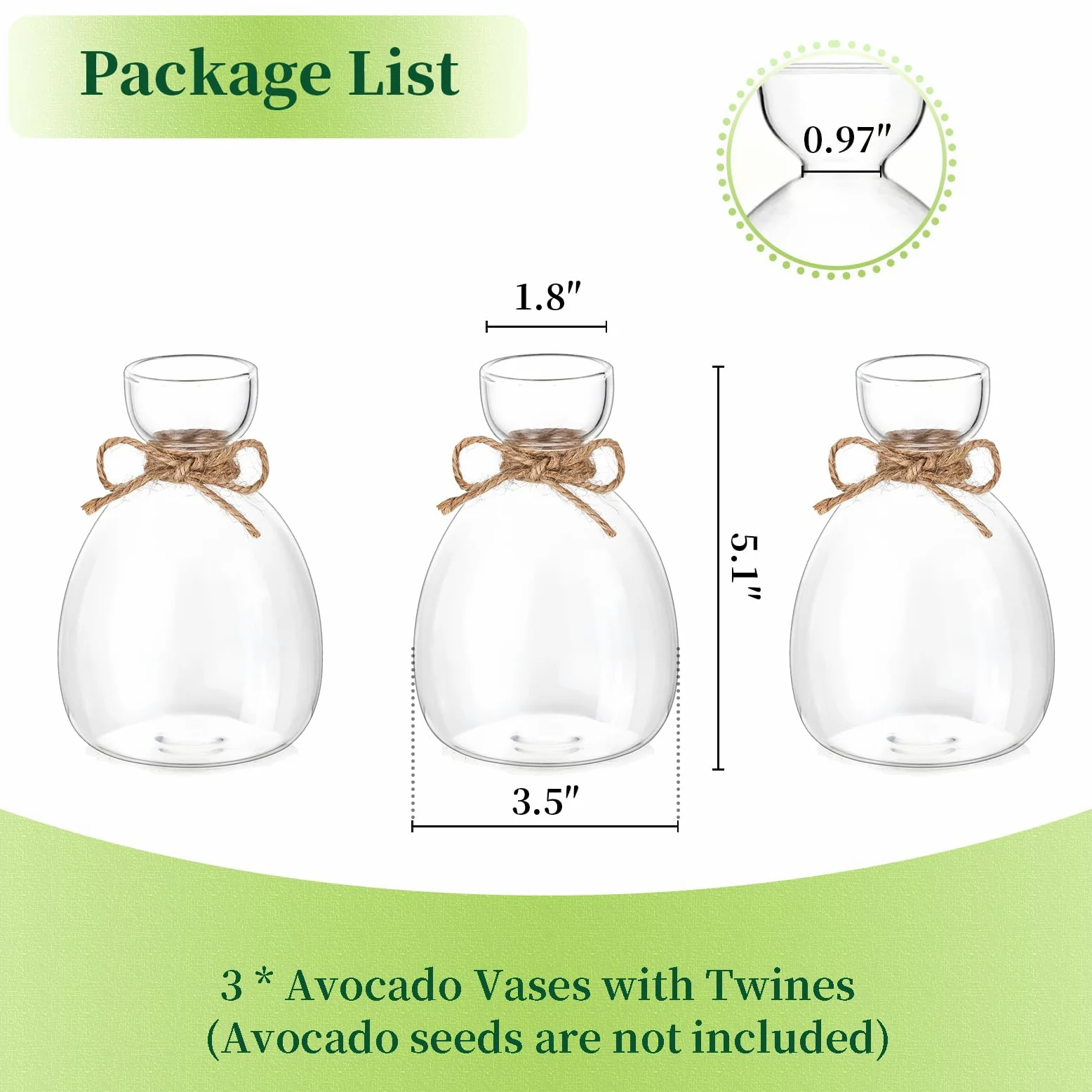 Hewory Lot de 3 vases à avocat en verre : lot de 3 vases en forme de gland - Kit de culture de graines d'avocat - Cadeaux de propagation pour les amateurs de plantes