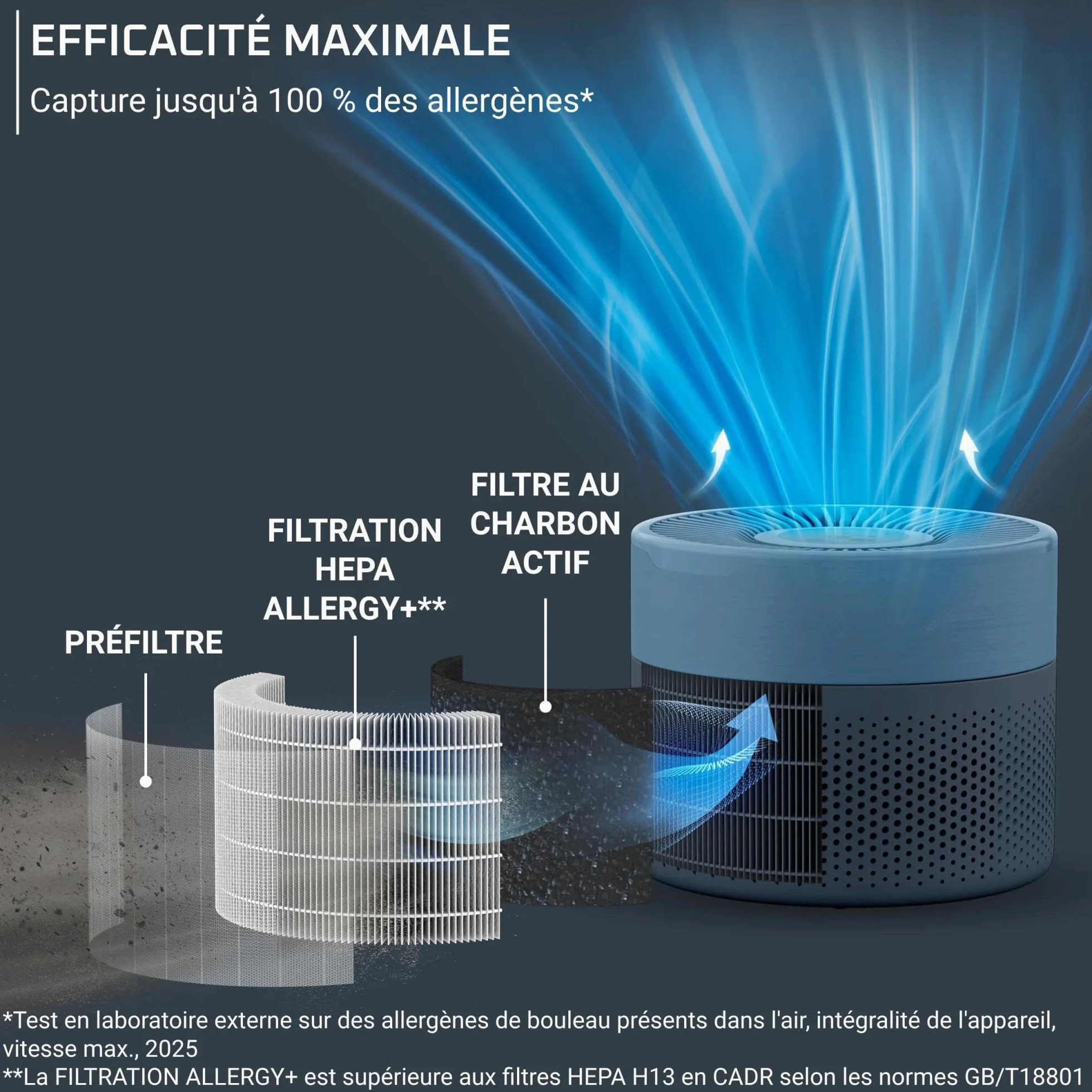 Rowenta Pure Air Mini, Purificateur d'air intérieur avec filtration HEPA Allergy+, Très silencieux, Réduit les mauvaises odeurs, PU1522F0