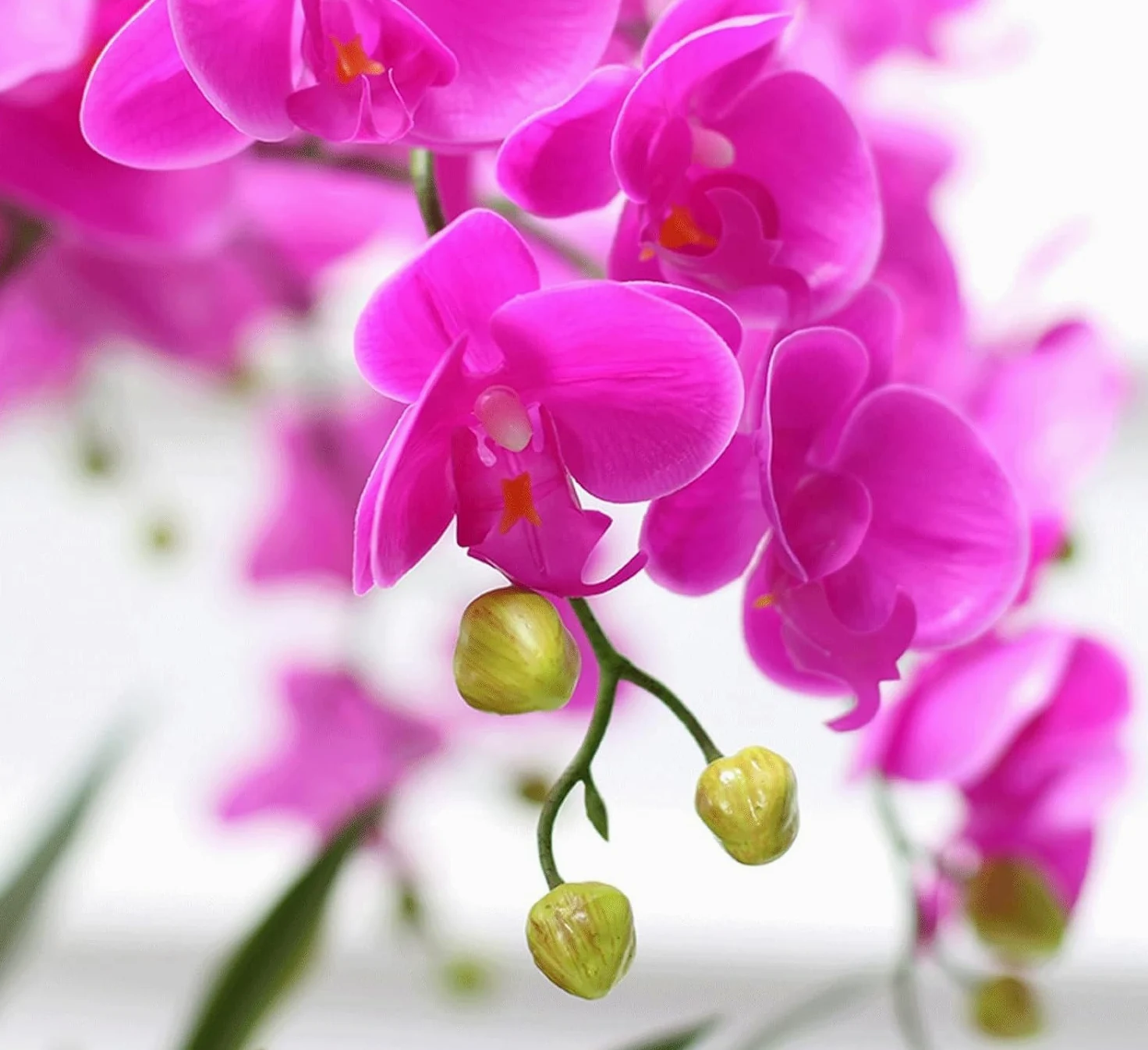 Orchidées artificielles avec Vase en céramique, Fleurs artificielles en polyuréthane, phalaenopsis artificielles, 65 cm, Fausses Fleurs pour la Maison