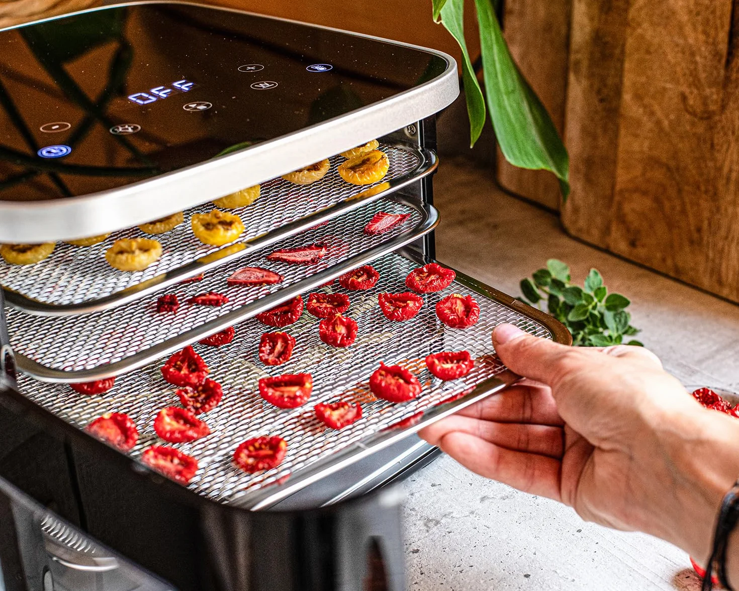 ROMMELSBACHER Déshydrateur automatique DA 450 - Surface de séchage 0,2 m² - Avec 5 plateaux de déshydratation en acier inoxydable - 1 grille de déshydratation - 1 support de déshydratation - 2 moules
