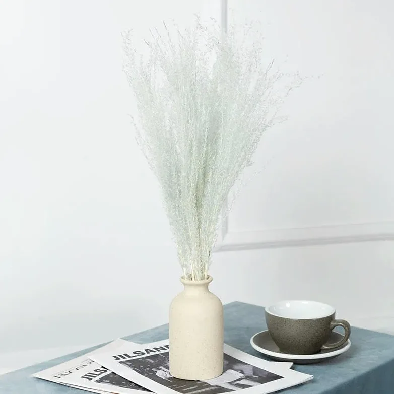 Véritable petite herbe séchée bouquet de mariage plantes naturelles décoration d'intérieur fleurs artificielles séchées Phragmites fleur ornementale