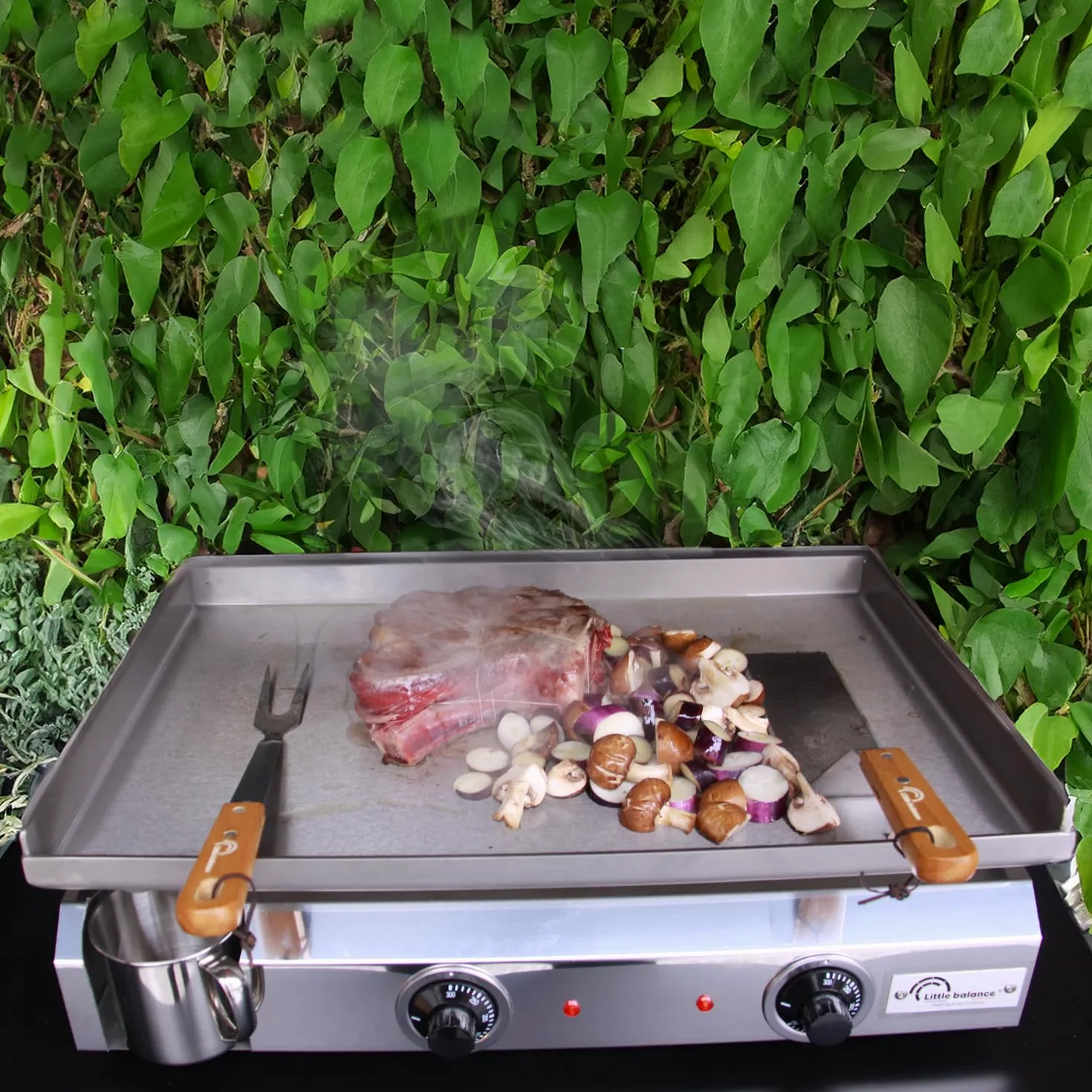 LITTLE BALANCE 8679 Amplitude 60-40, Plancha électrique semi professionnelle, 2 zones de cuisson indépendantes, 3000 W, Fabrication 100% française, Tout Inox