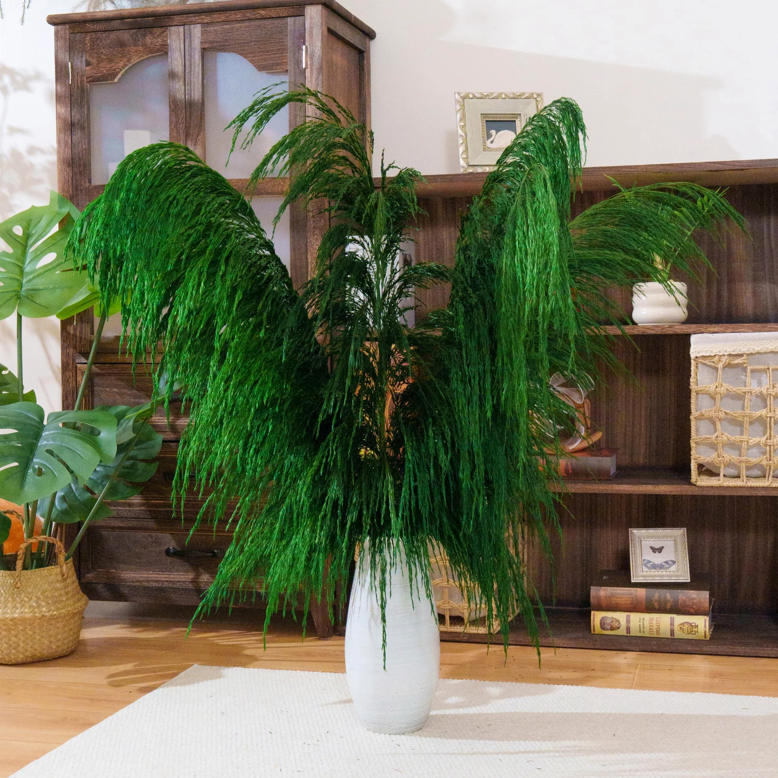 Lot de 8 Herbes de Pampa Vertes Séchées - 80 cm - Décoration Naturelle Salon - Plantes Séchées Parfumées - Style Bohème Chic - Intérieur Maison - Décoration Murale Élégante